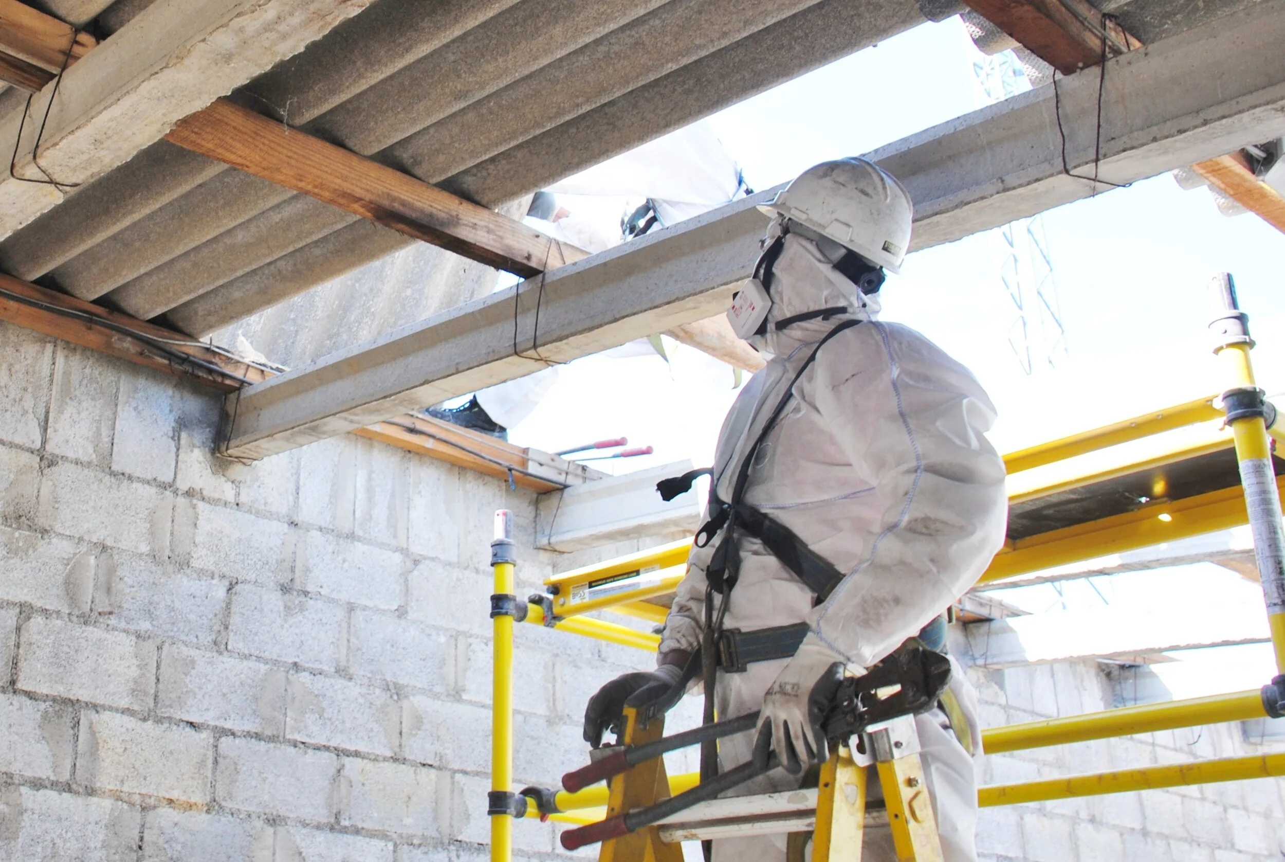 Asbestos & Lead Based Paint — J.C Broderick & Associates