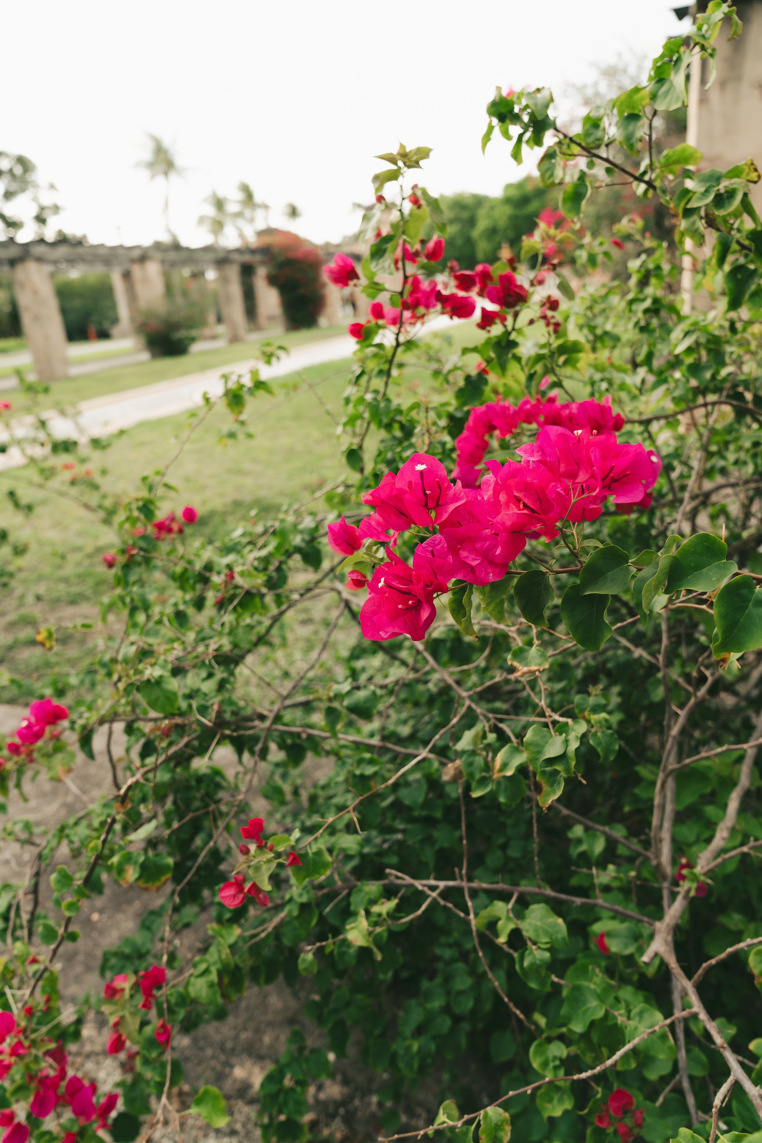 DSC07058.jpg