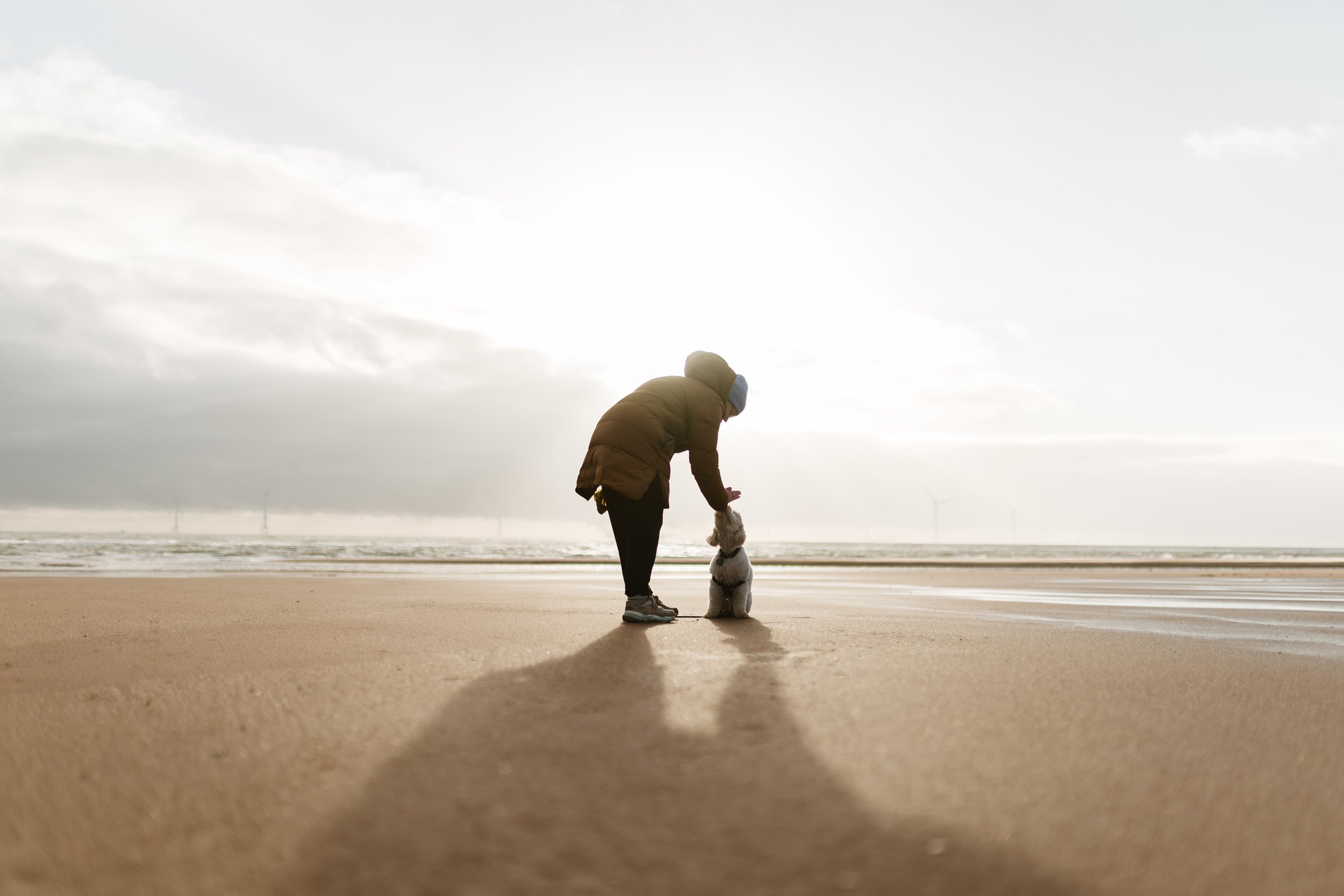 Person bending down on a beach with a dog, during a cloudy day, with wind turbines in the distance.