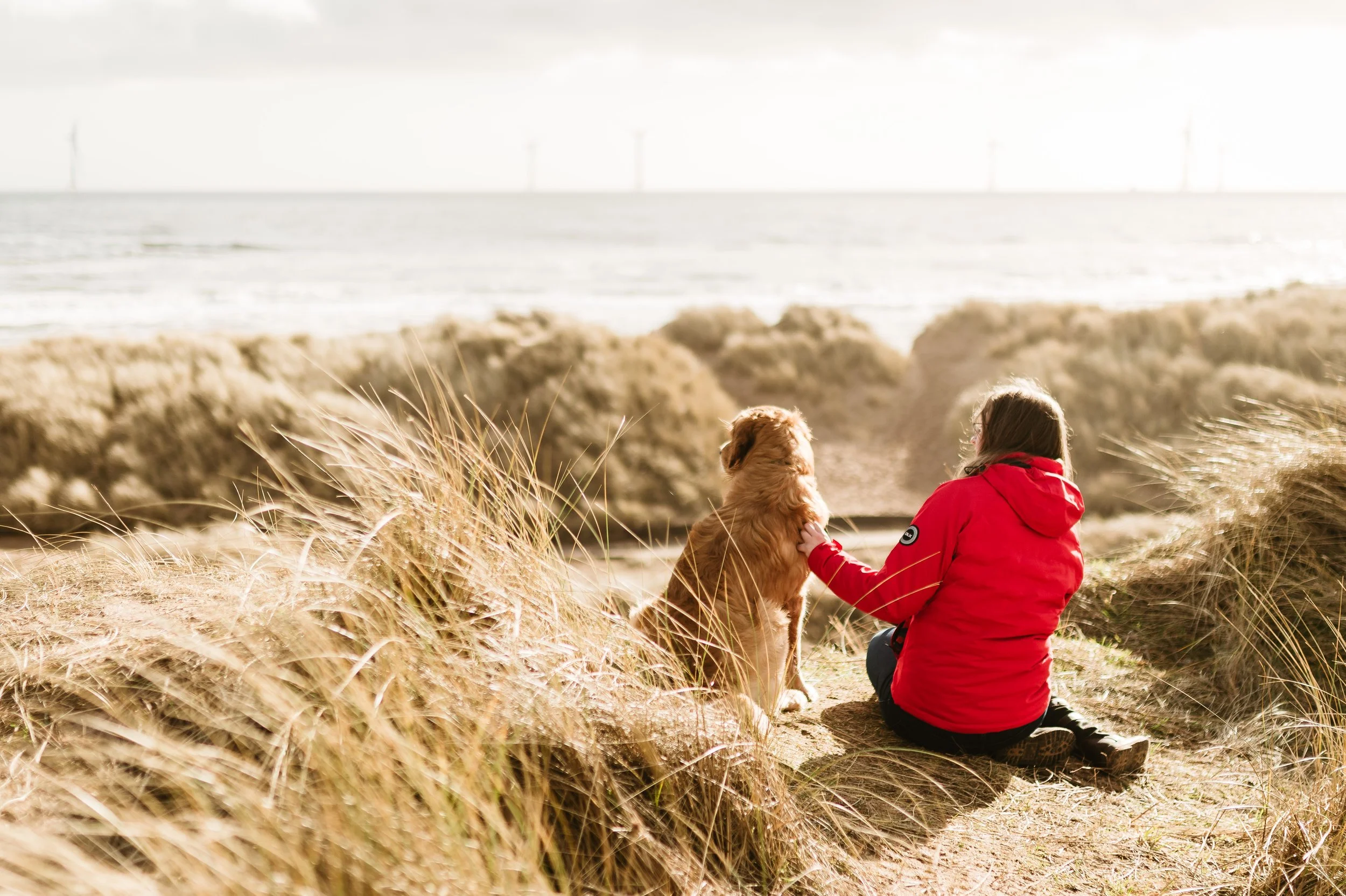 Person in a red jacket sitting on the dunes with a dog, overlooking the beach and ocean with wind turbines in the distance.