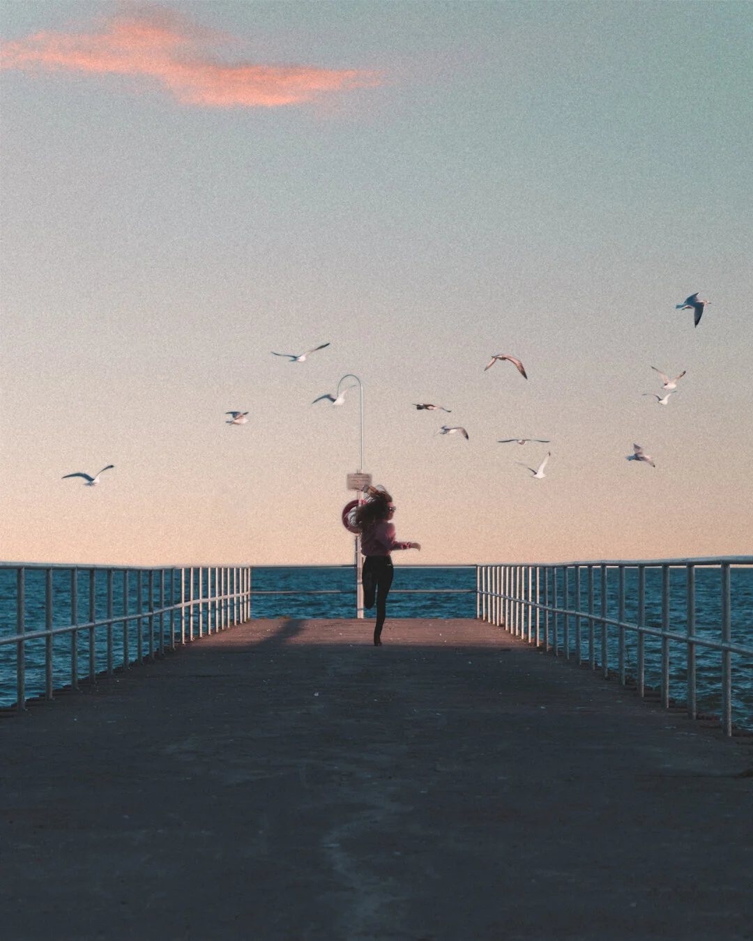 Megbirds_N_SKY - Copy.jpg