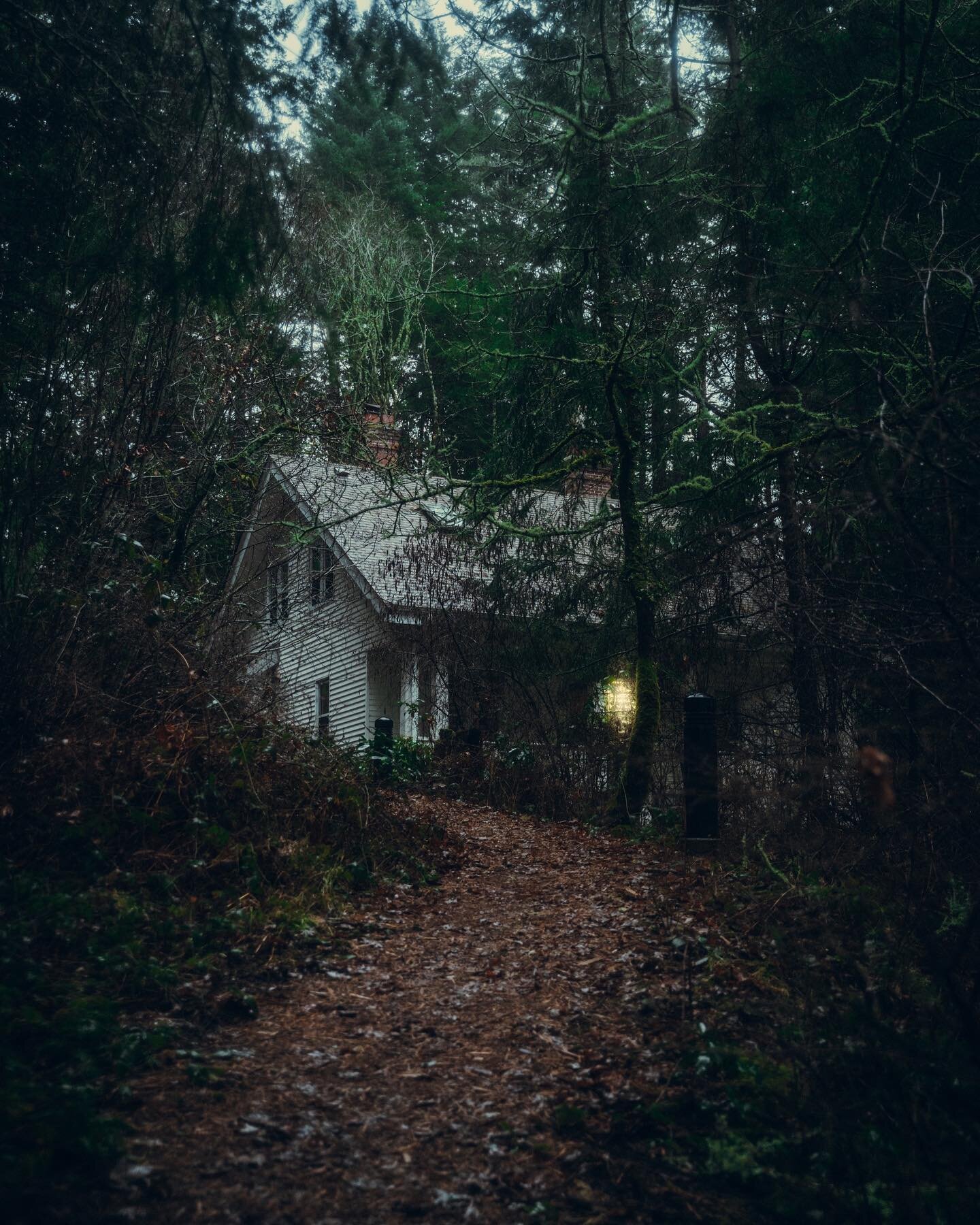 cabin in the woods