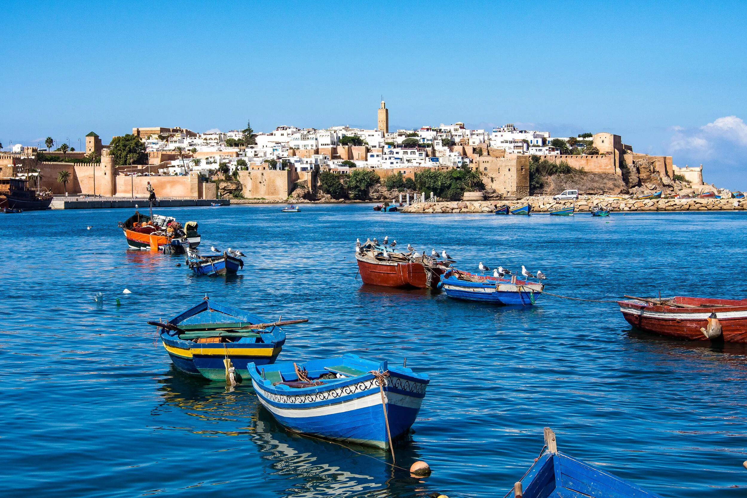 iStock-1133193983.jpg