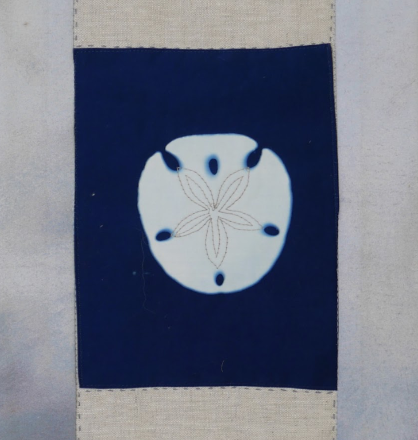 Sand Dollar