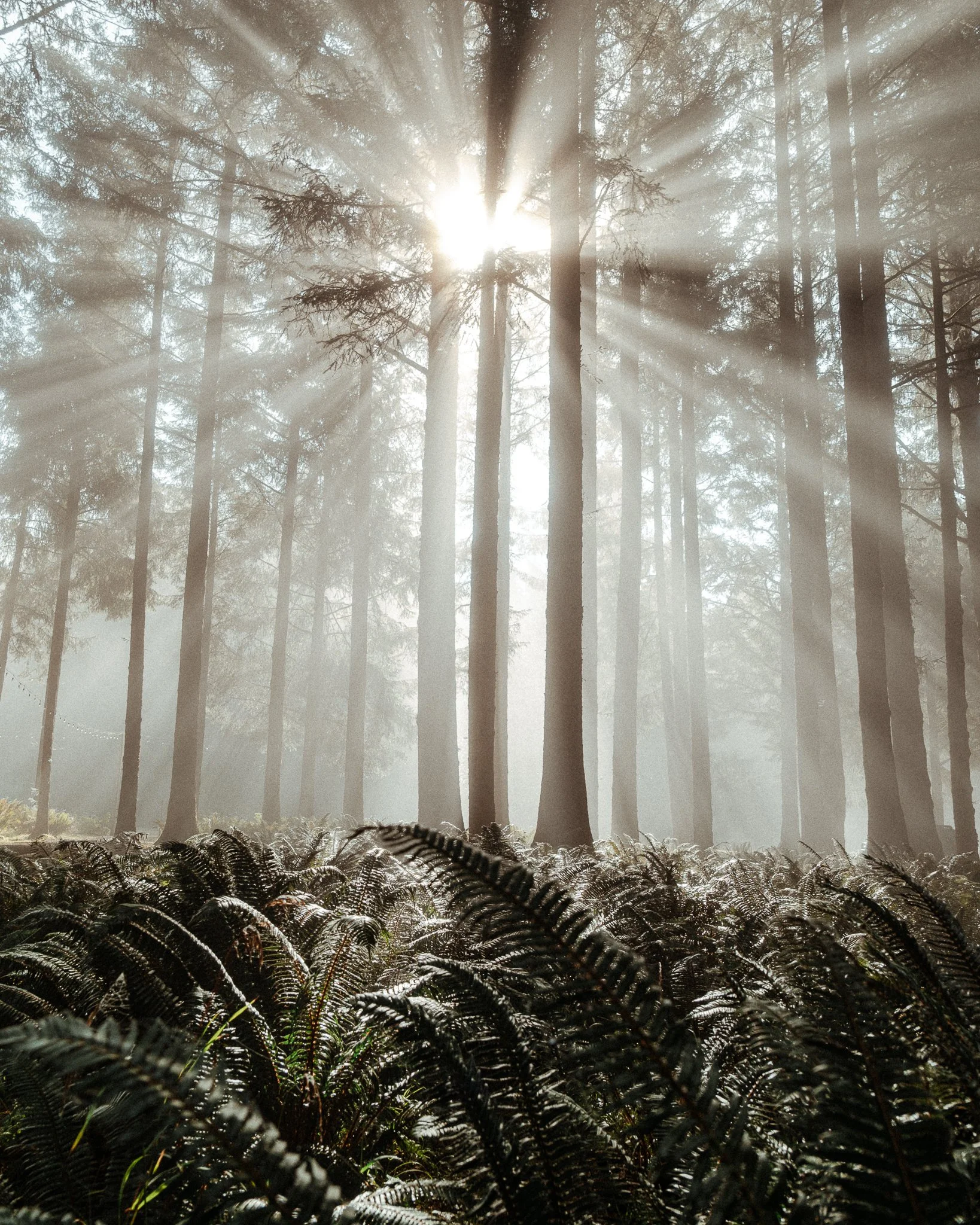 MelissaFindley_Leica_OR Coast-BirthdayTrip1.jpg