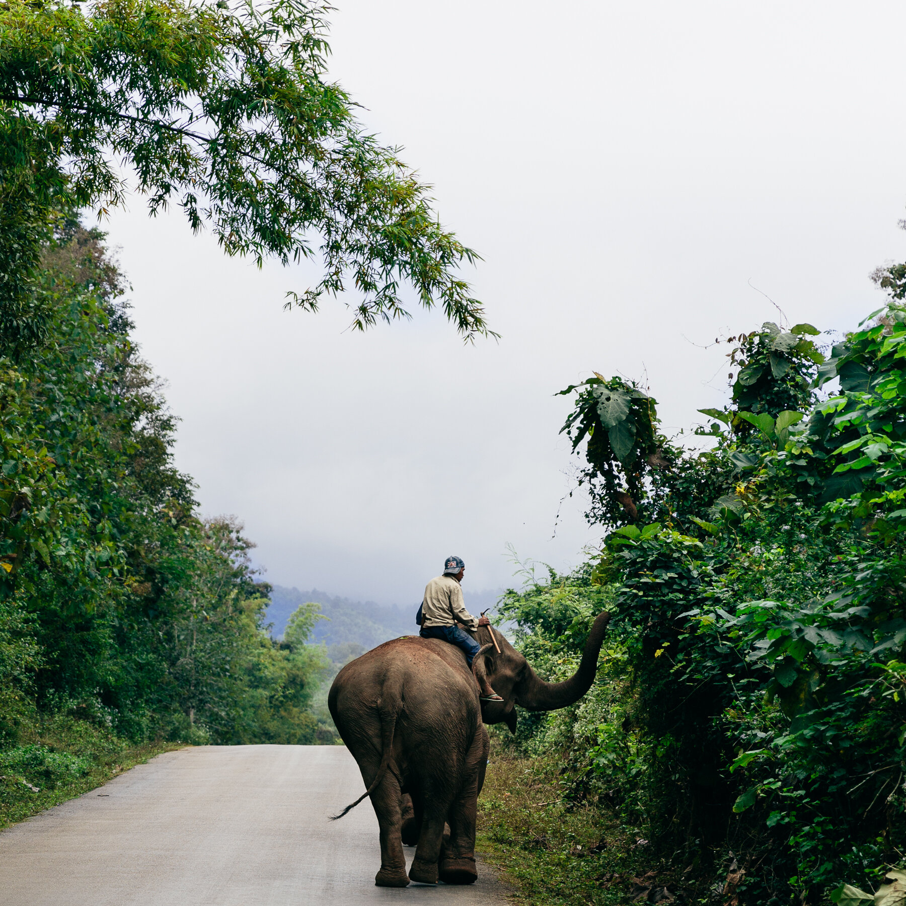 Melissa_Findley-LAOS-HelloWorld-89.jpg