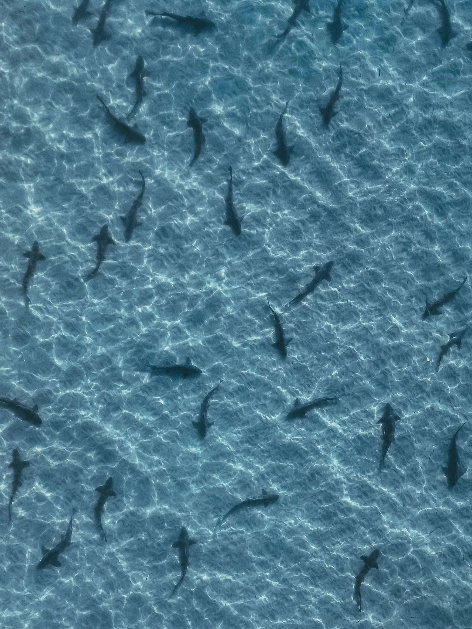 MelissaFindley-San Diego3.jpg