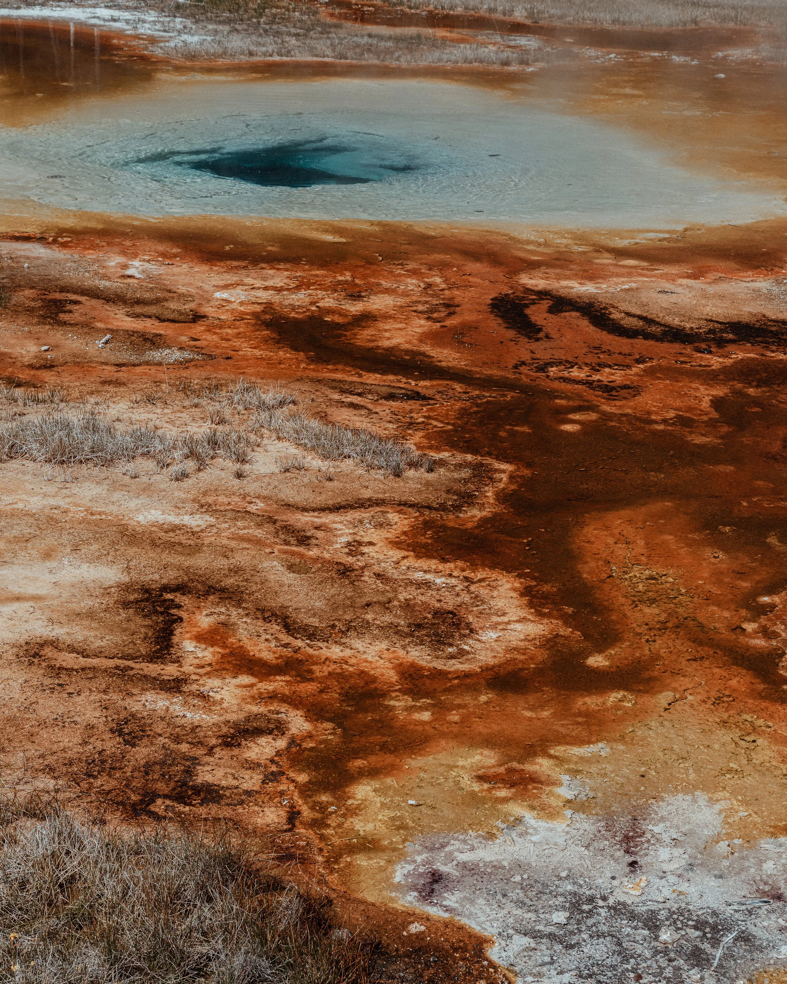 website-MelissaFindley_MelissaField-Yellowstone-EARTH8 copy.jpg