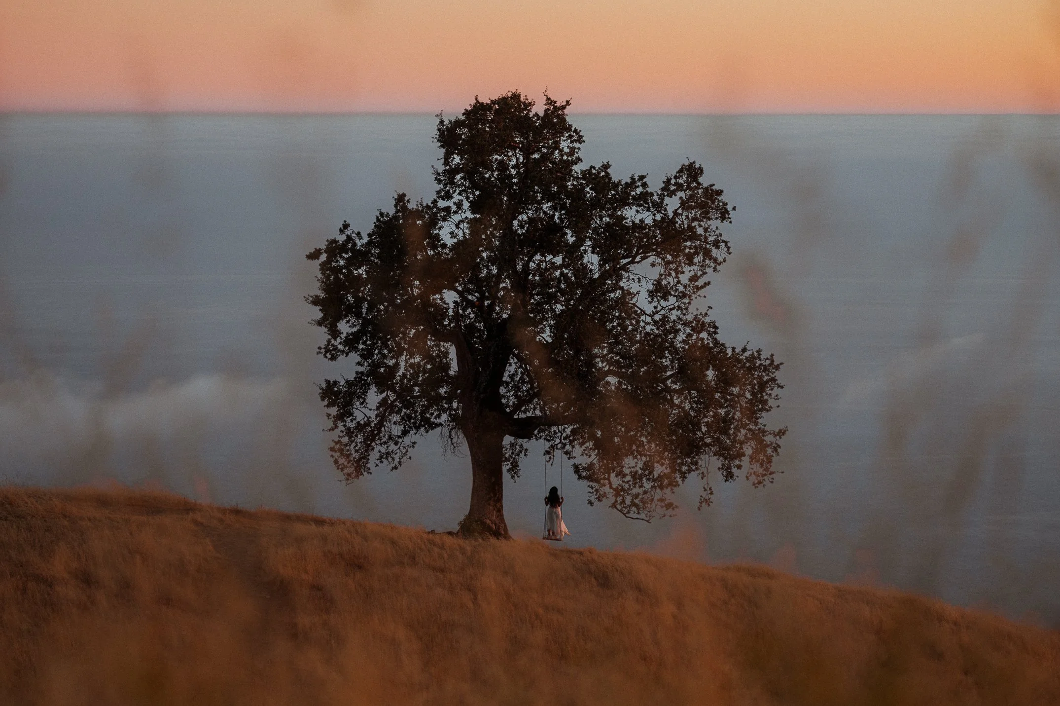 MelissaFindley-MelissaField_Fanny By Melissa-BigSur&ORCoast2025-4.jpg