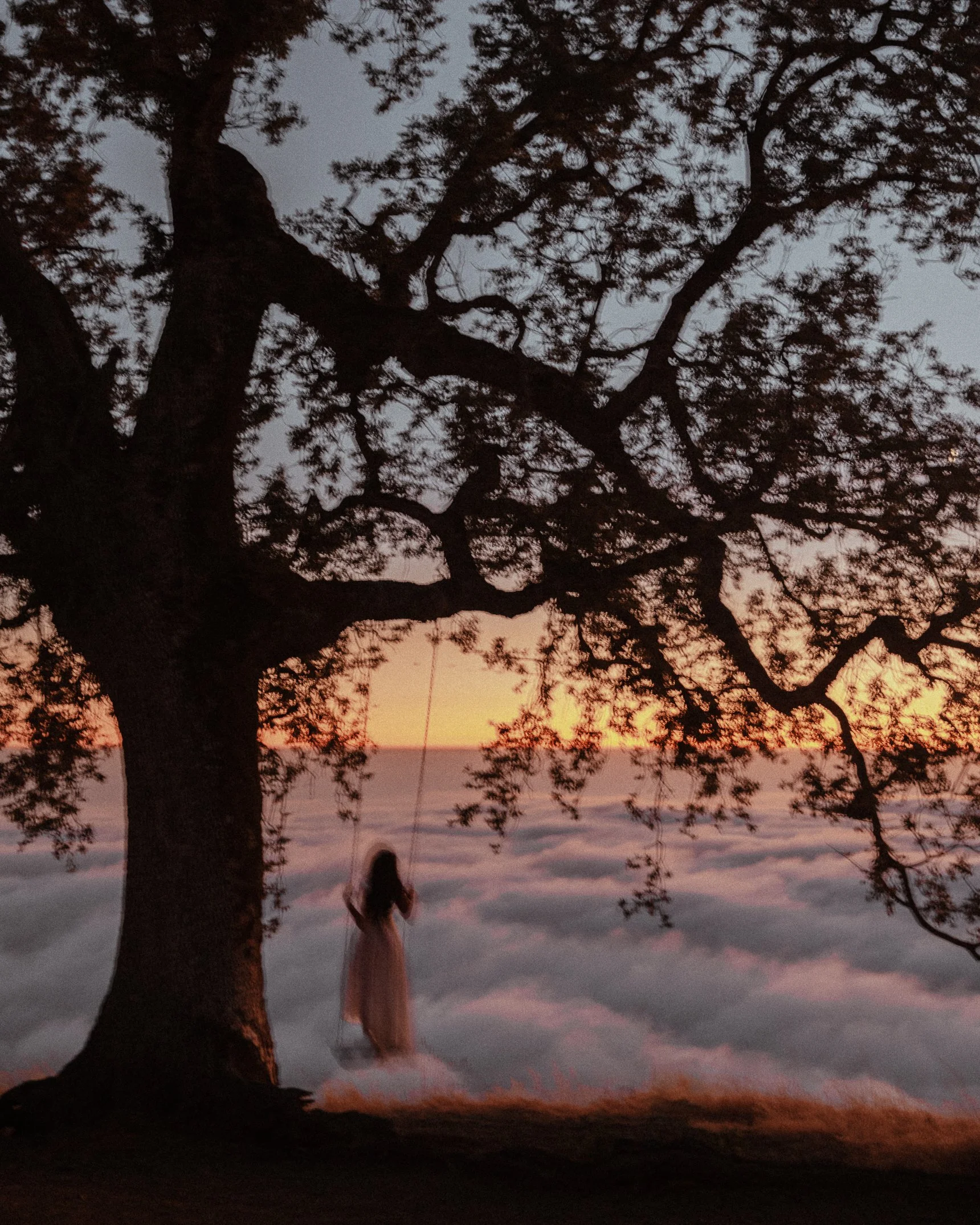 MelissaFindley-MelissaField_Fanny By Melissa-BigSur&ORCoast2025-10.jpg