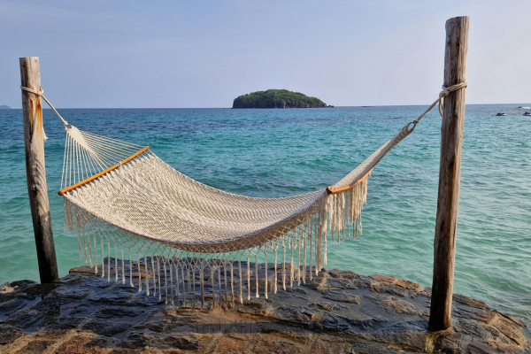 The Grip: Why Your Body Refuses to Let Go (And How to Stop “Helping”)