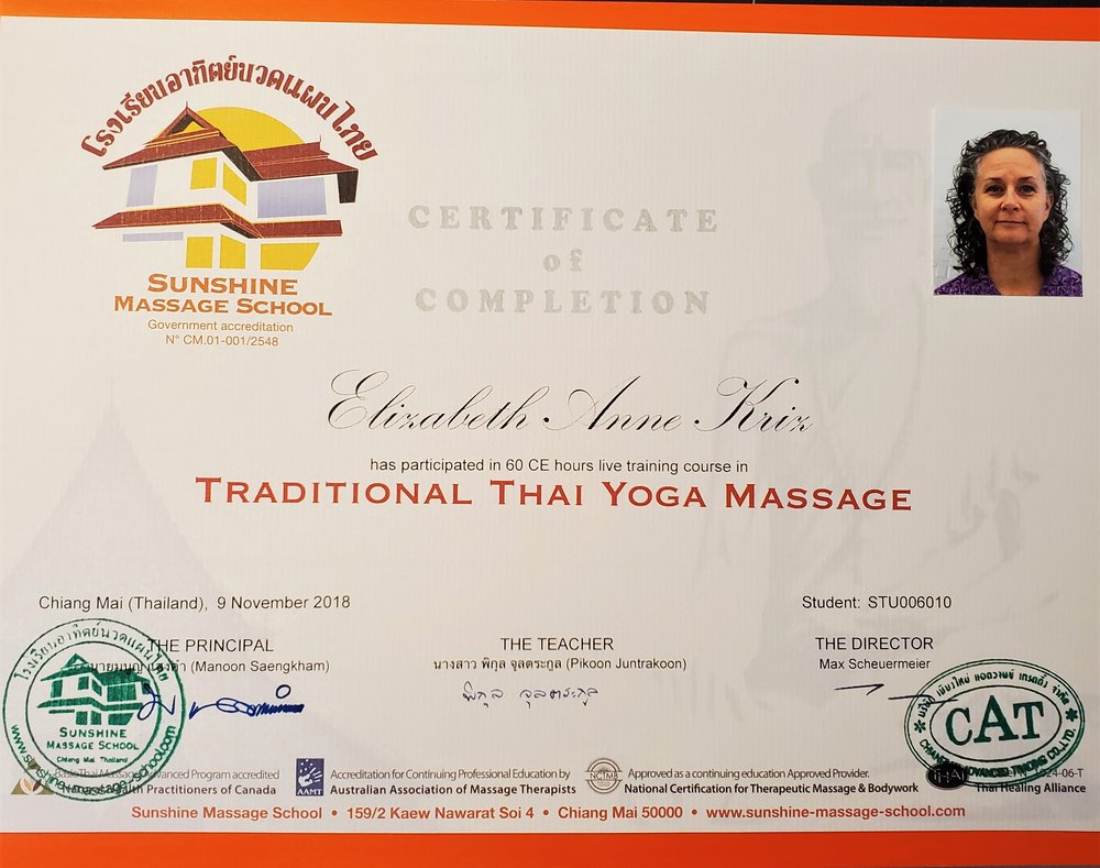 Svin Betydning dokumentarfilm Thai massage certification — Thai massage | Cupping | Continuing education  with Liz Kriz
