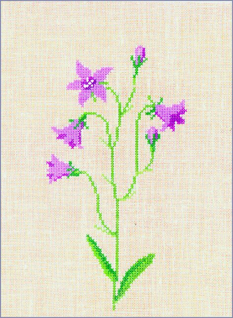 PURPLE HAREBELL FLOWER CROSS STITCH KIT 19 x 23 cm