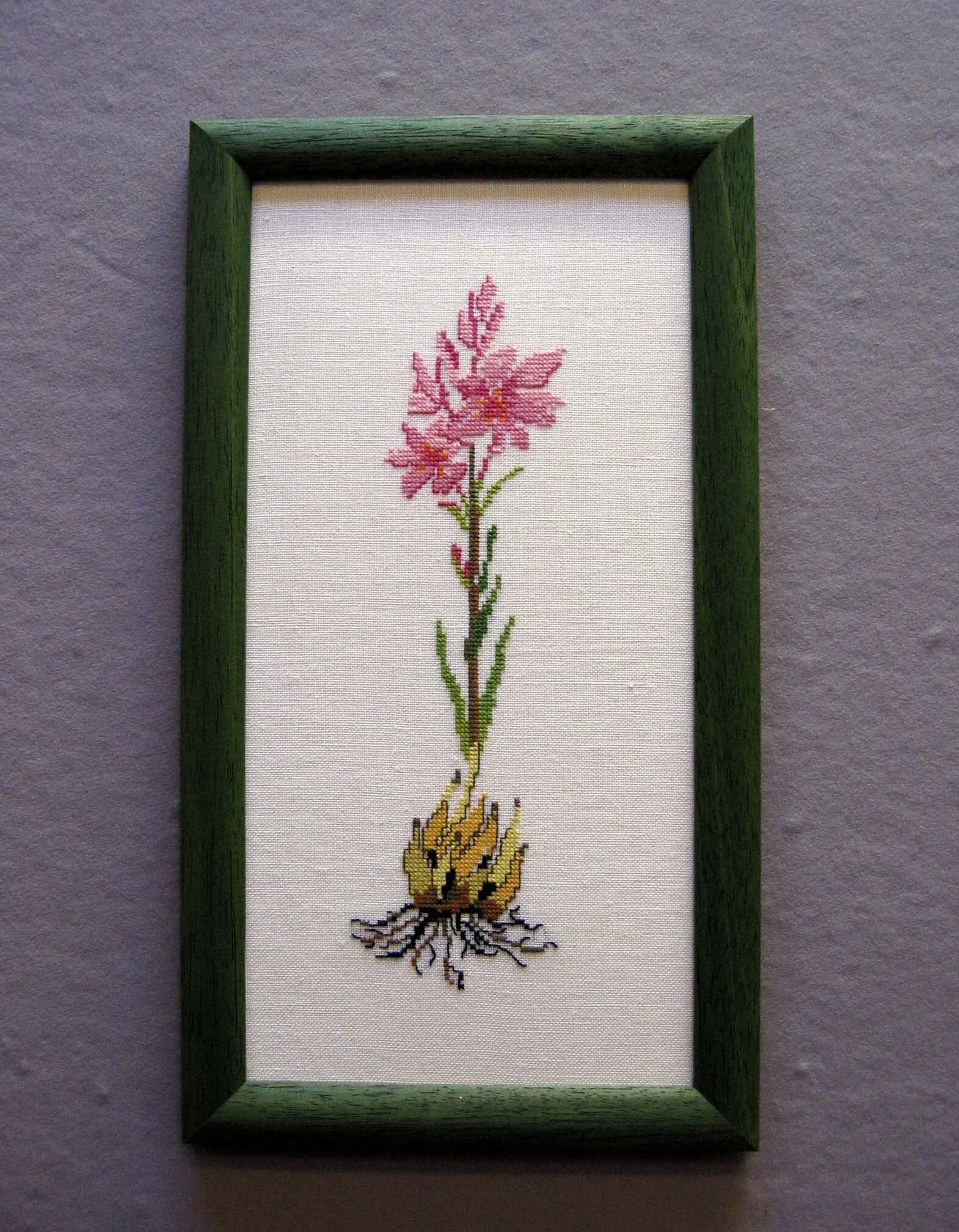 Daffodil Cross Stitch Kit 16 x 16 cm — Exquisite Cross Stitch and Craft