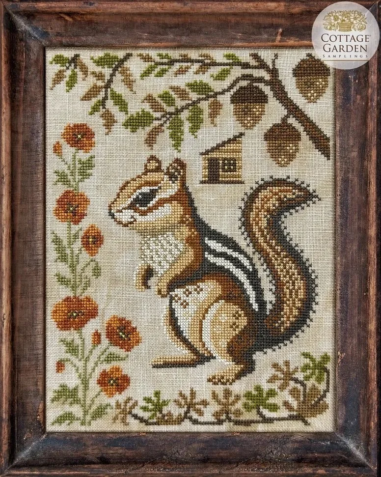 Chipmunk.jpg