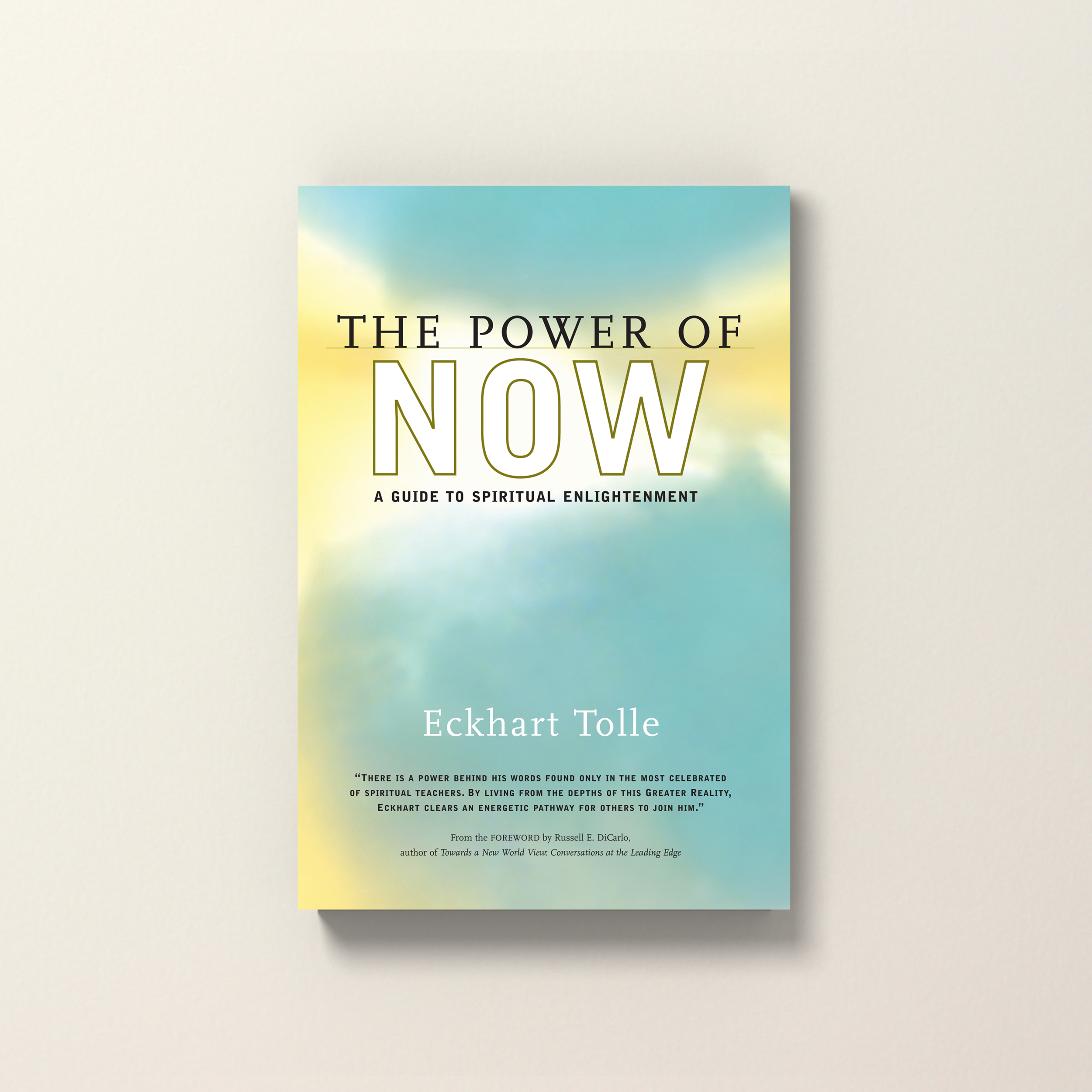 The Power of Now — Namaste Publishing