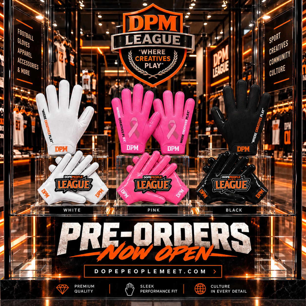 DPM League Gloves Display.PNG
