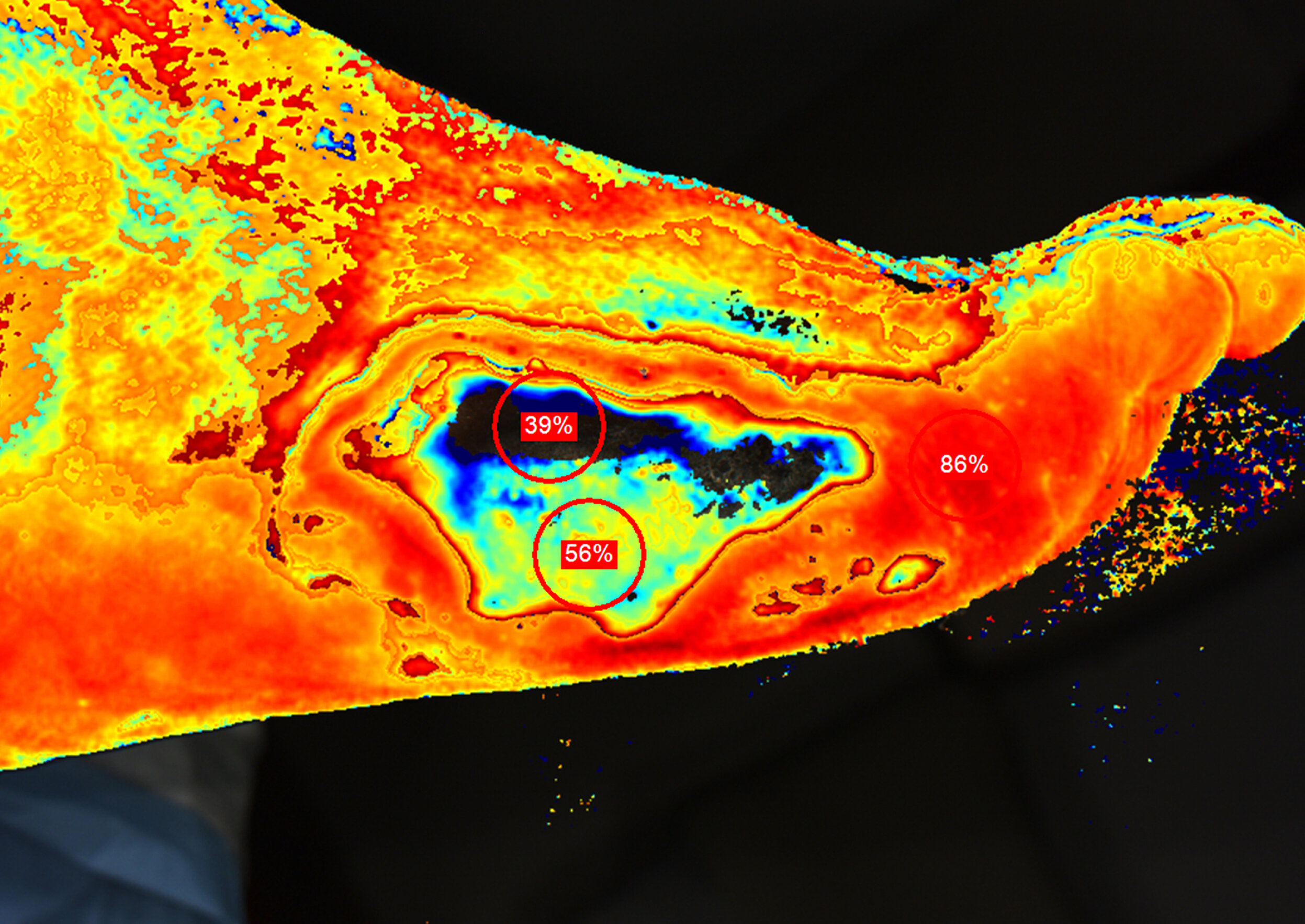 News — Kent Imaging