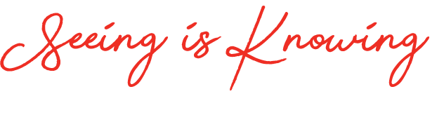 seeing is knowing text graphic