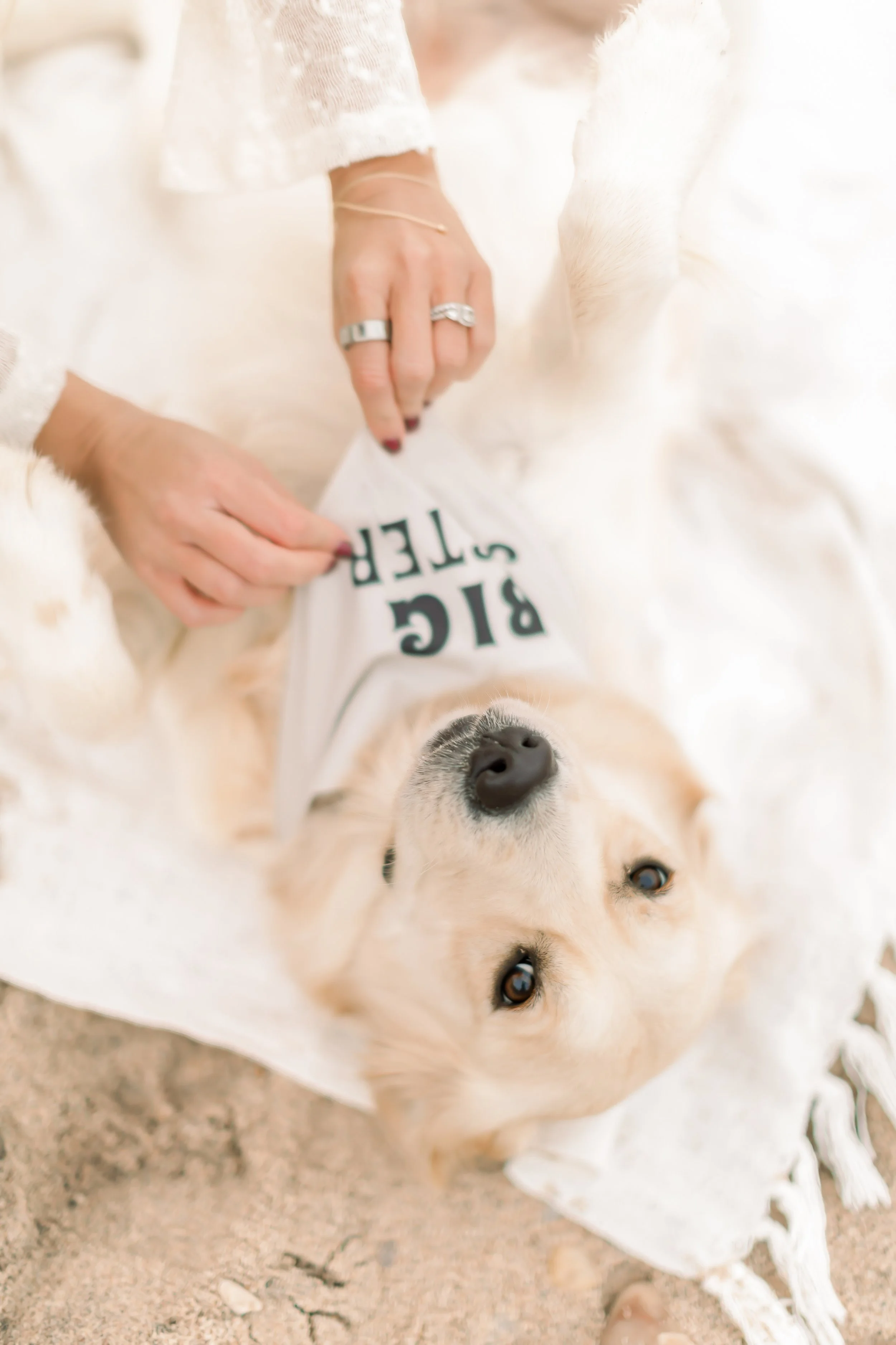 Nicole + Mike- Maternity_-367.JPG