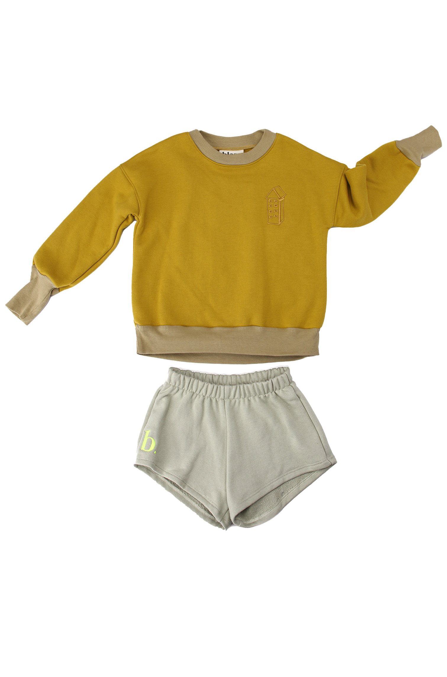 Jaune ocre+Vert d'eau-vol..jpg