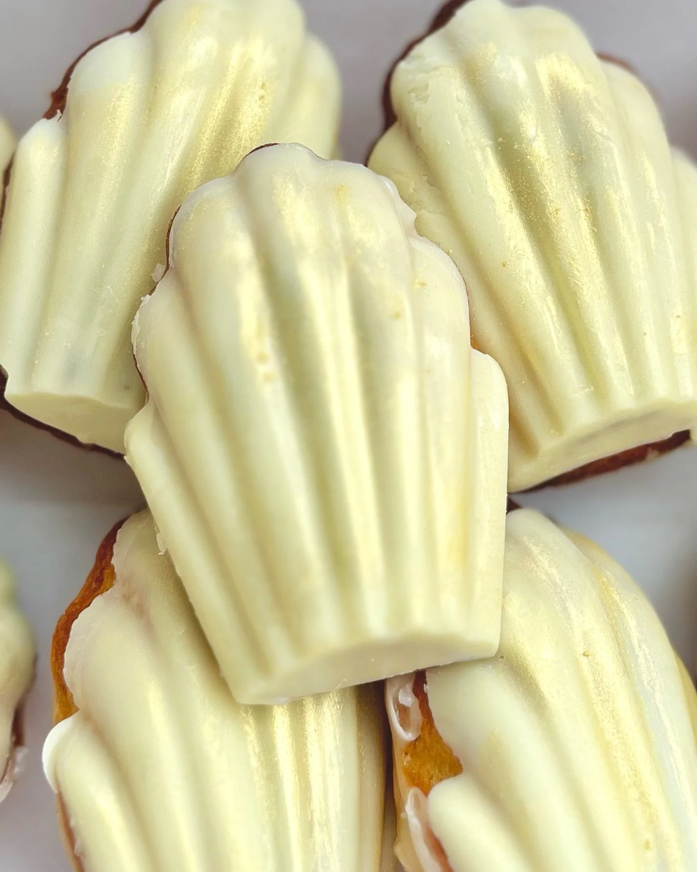 Madeleines — Michelle Volpe Bakery
