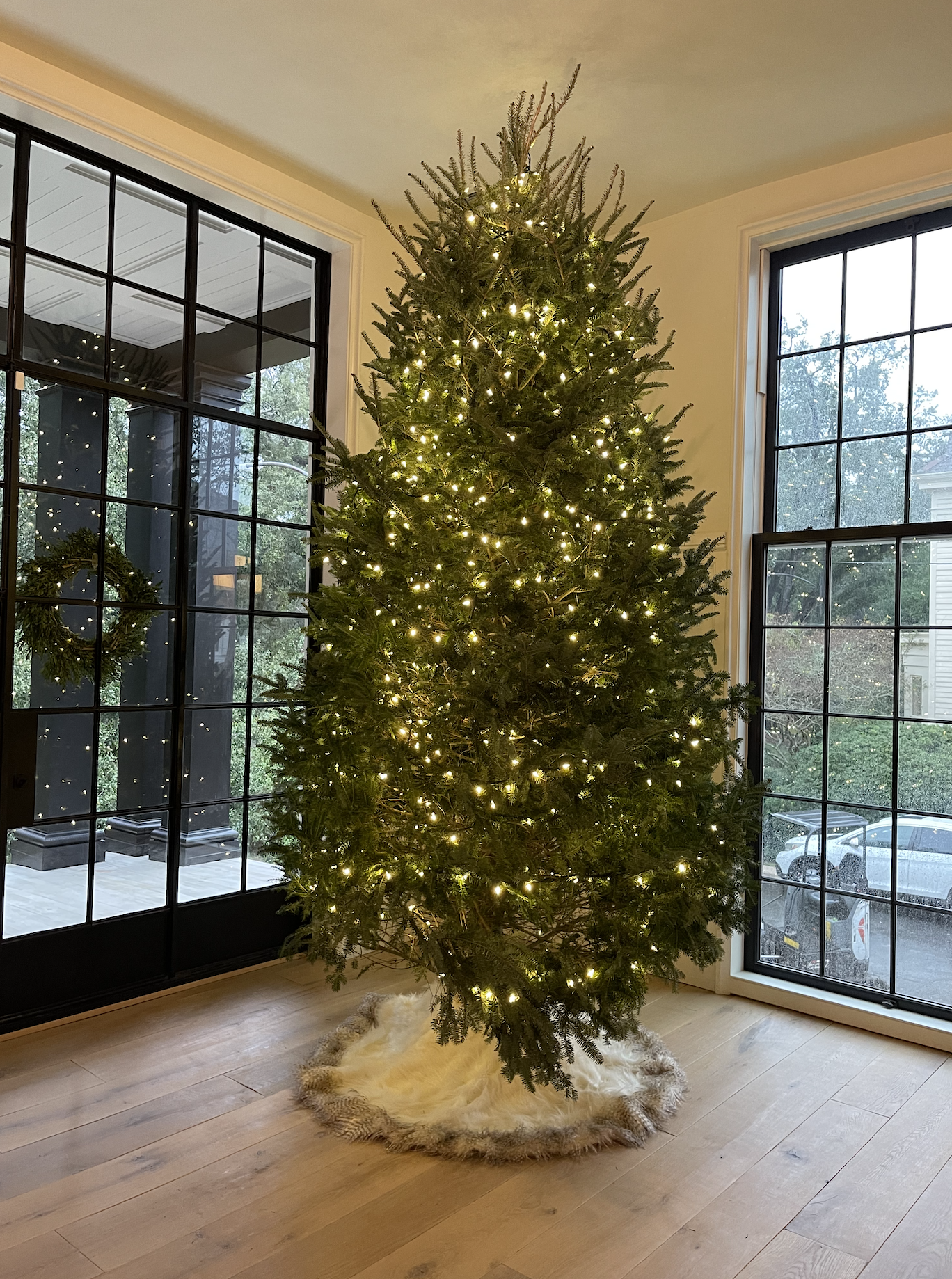 Screen Shot 2022-12-07 at 2.56.11 PM.png