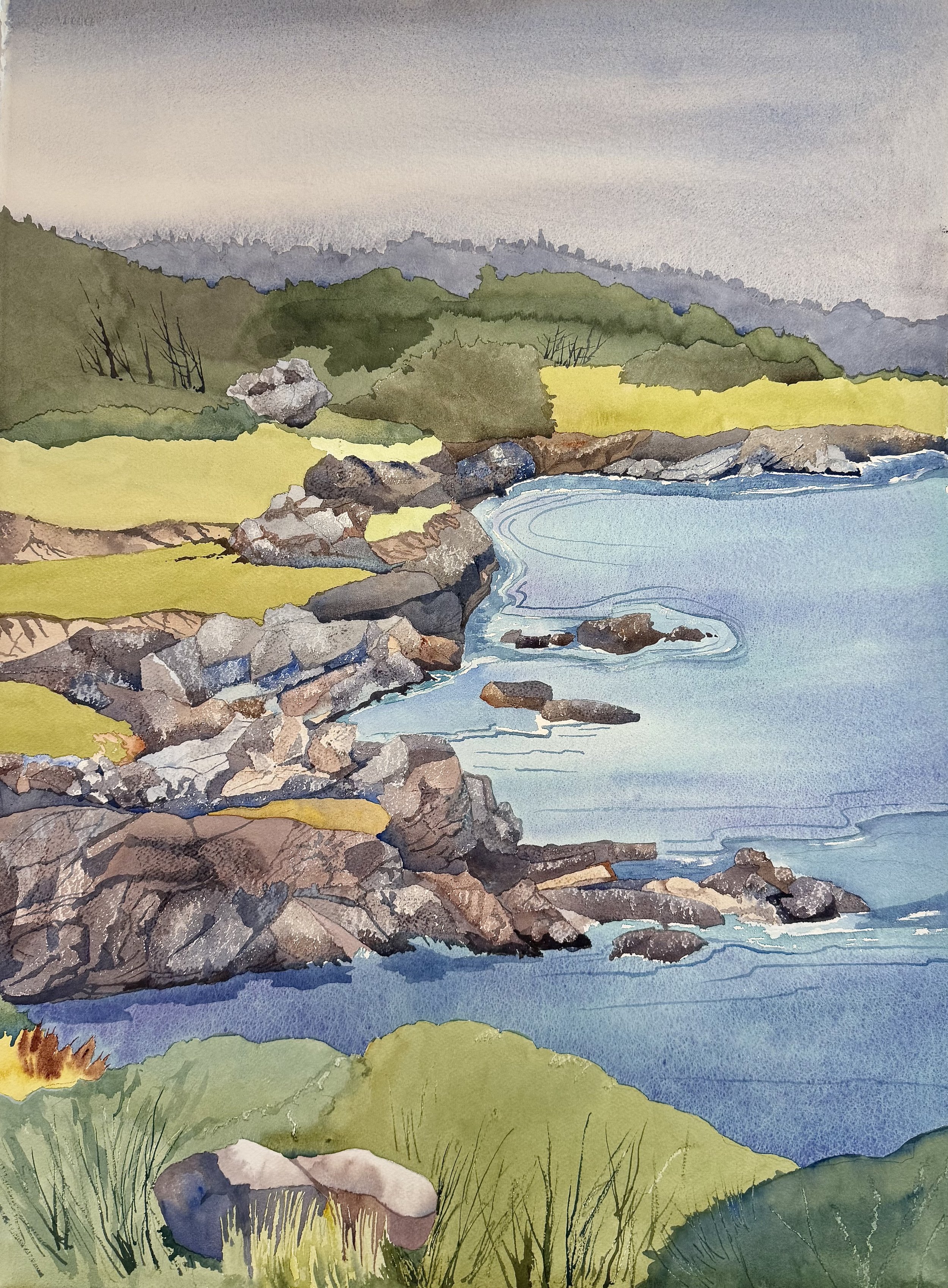 Sonoma Coastline.jpeg