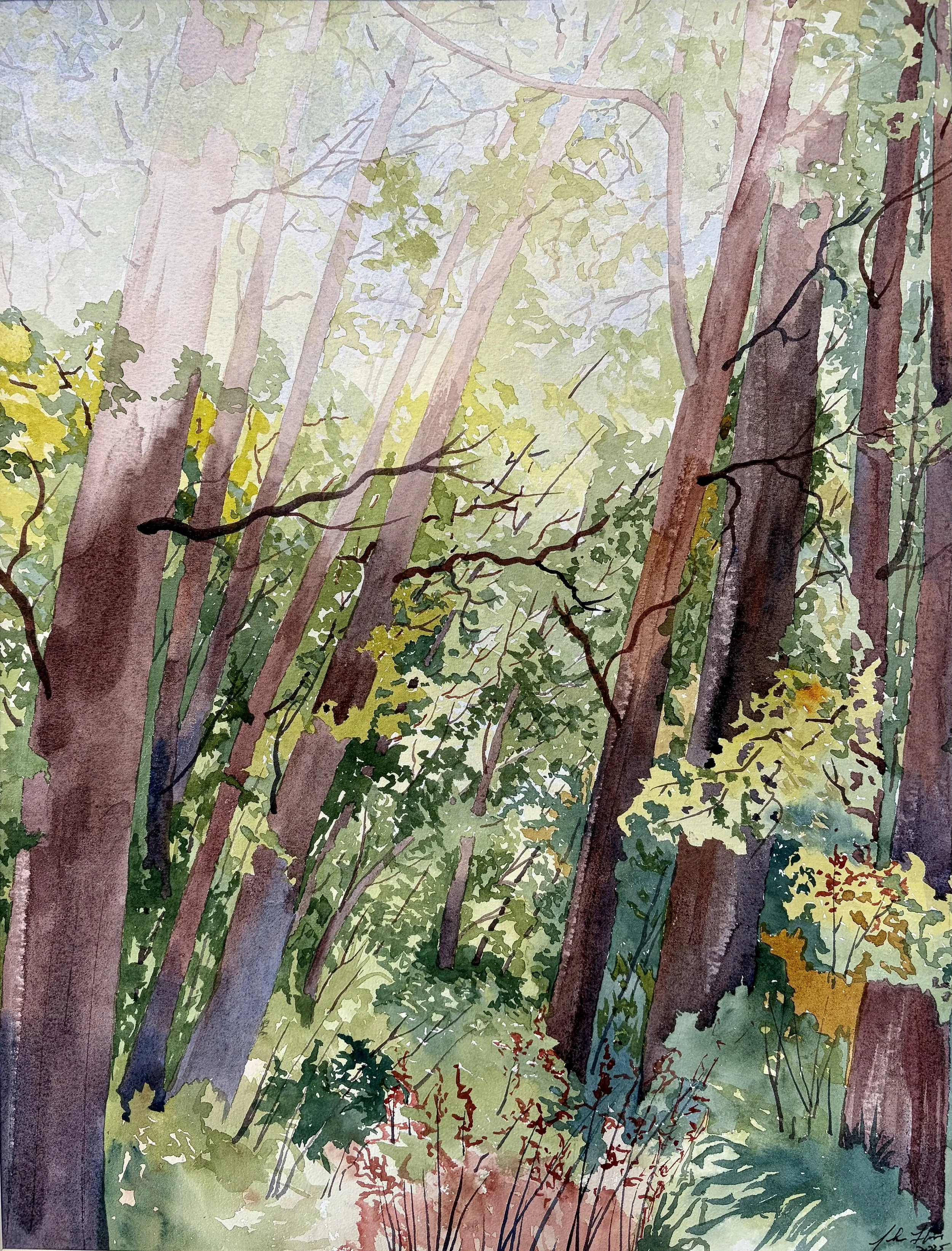 As the fog lifts.  Saanich, Gordon Head.
Victoria B.C. 22x27 $ 1,500