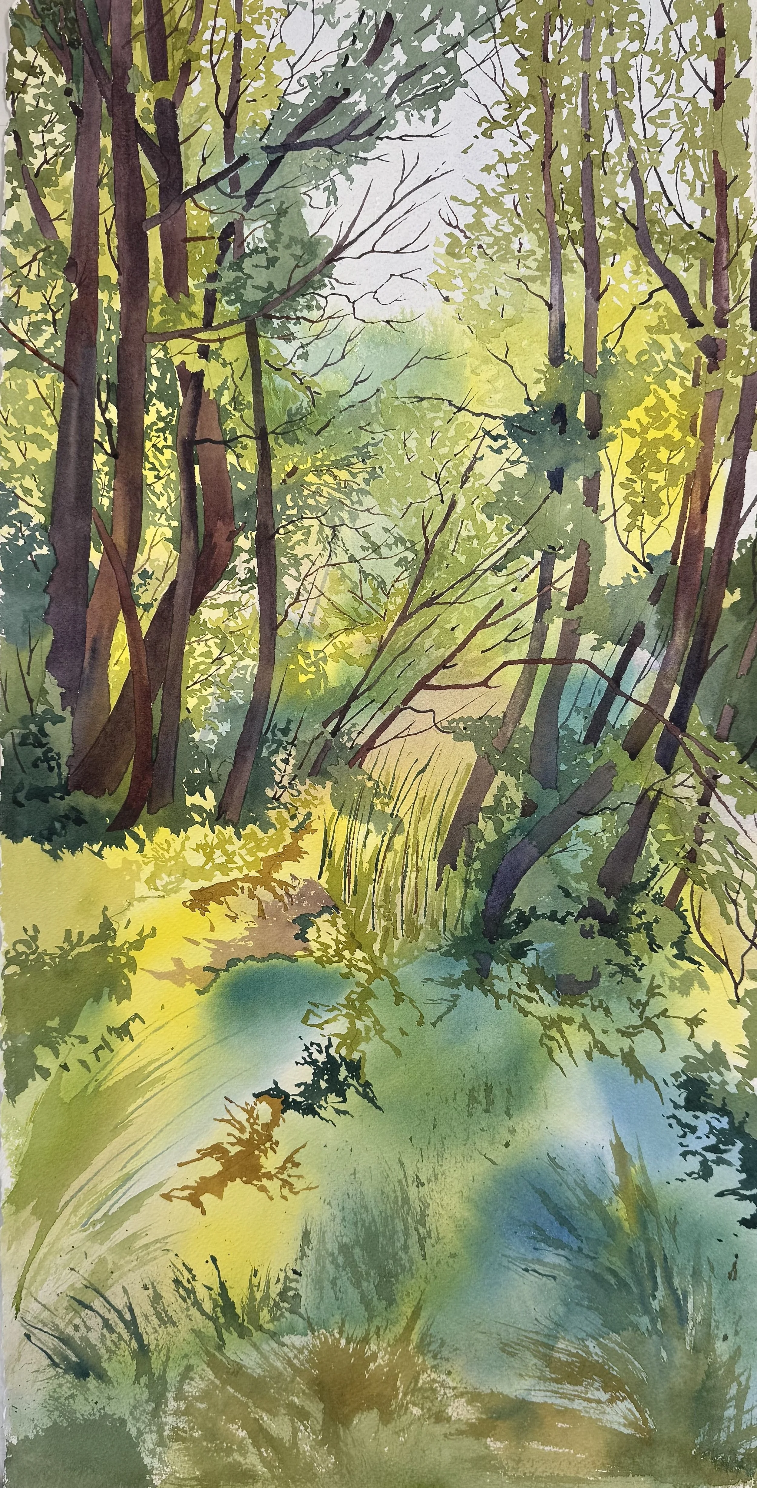 Saanich, Gordon Head. Victoria ,B.C. 
$ 1,800