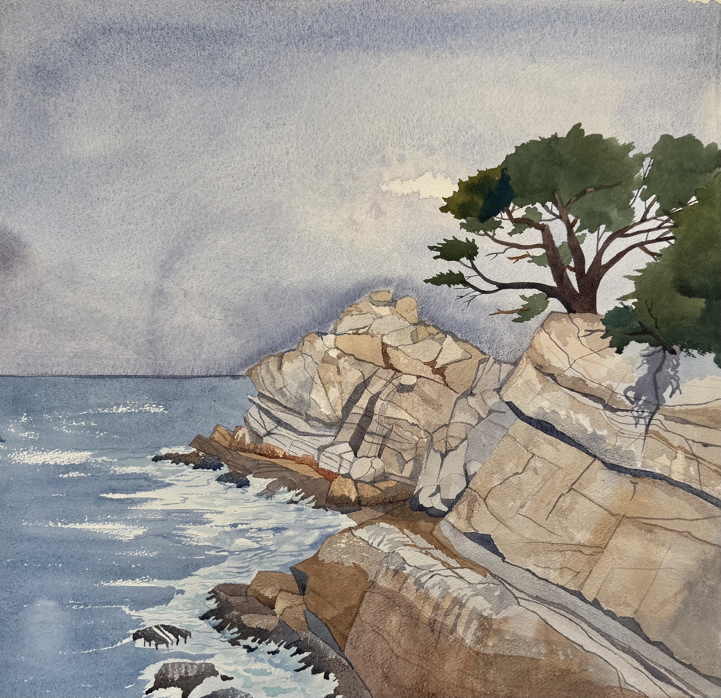 2025 Salt Point State Park.
28x27 $ 875.00