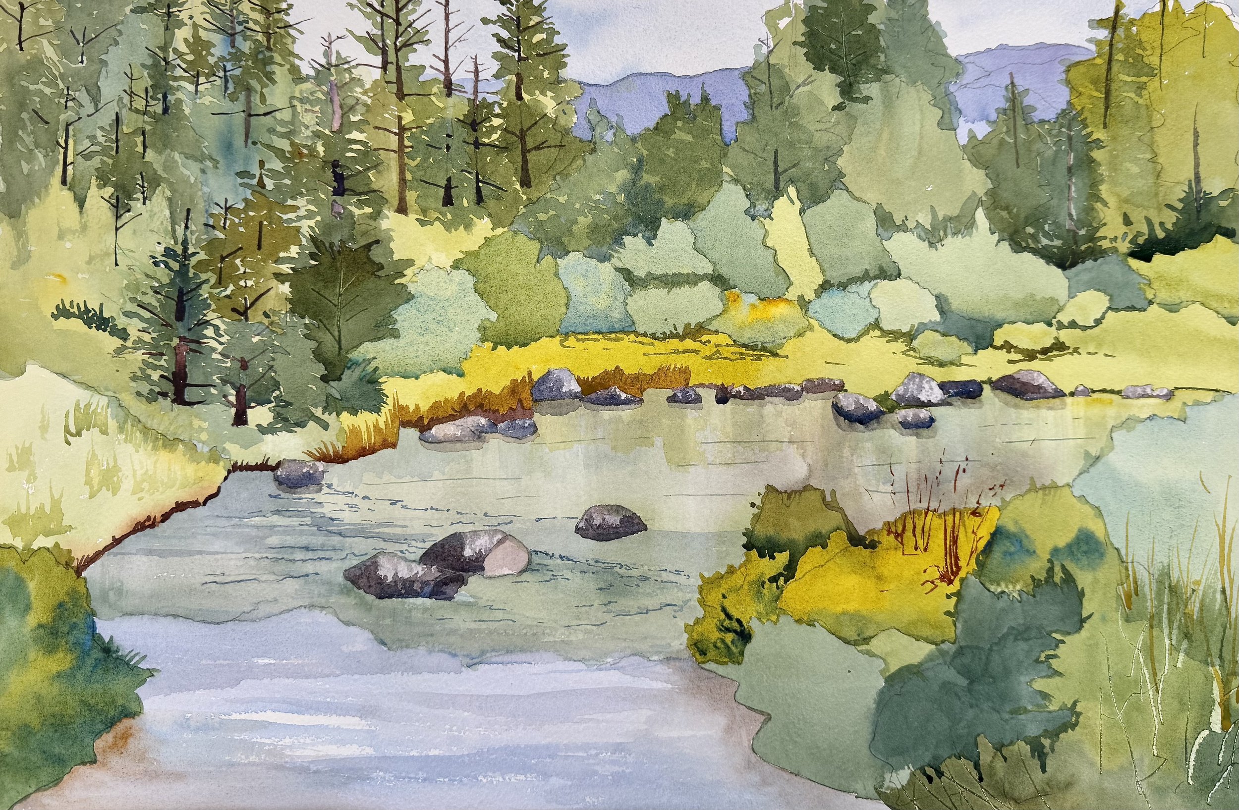 Hope Valley , Ca side.  28x20 $ 1575.00