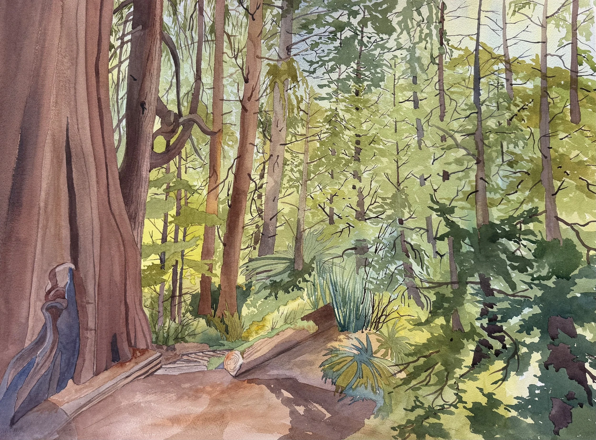 Steps to China Beach, Victoria, B. C.
28x34  $ 2,400.00