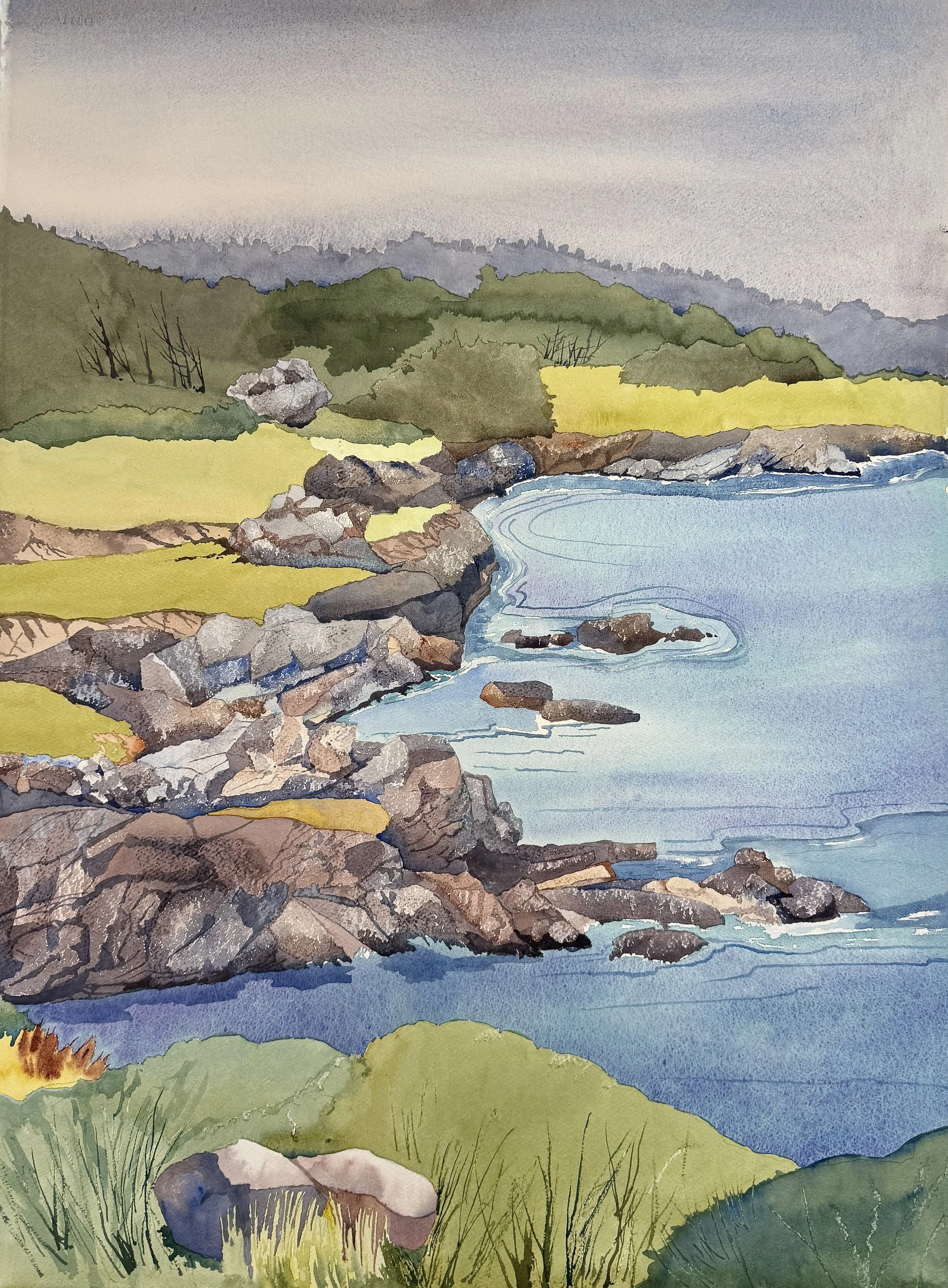 Sonoma Coastline  28x34  $ 2,400.00