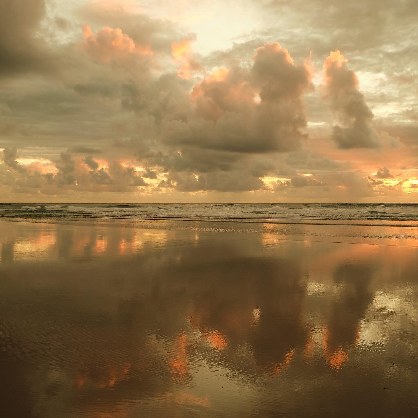 Golden Moments 

📸@jamespcant
#peace
#newday 
#mensstyle
#clerestory
#byronbay
#palmsprings 
#lagunabeach 
#surf
#desert
#beaches 
#california
#australia
#boardshorts
#surfshorts 
#swimshorts
#activewear
#earlyrise 
#girlssurfing
#sunrise 
#reflecti