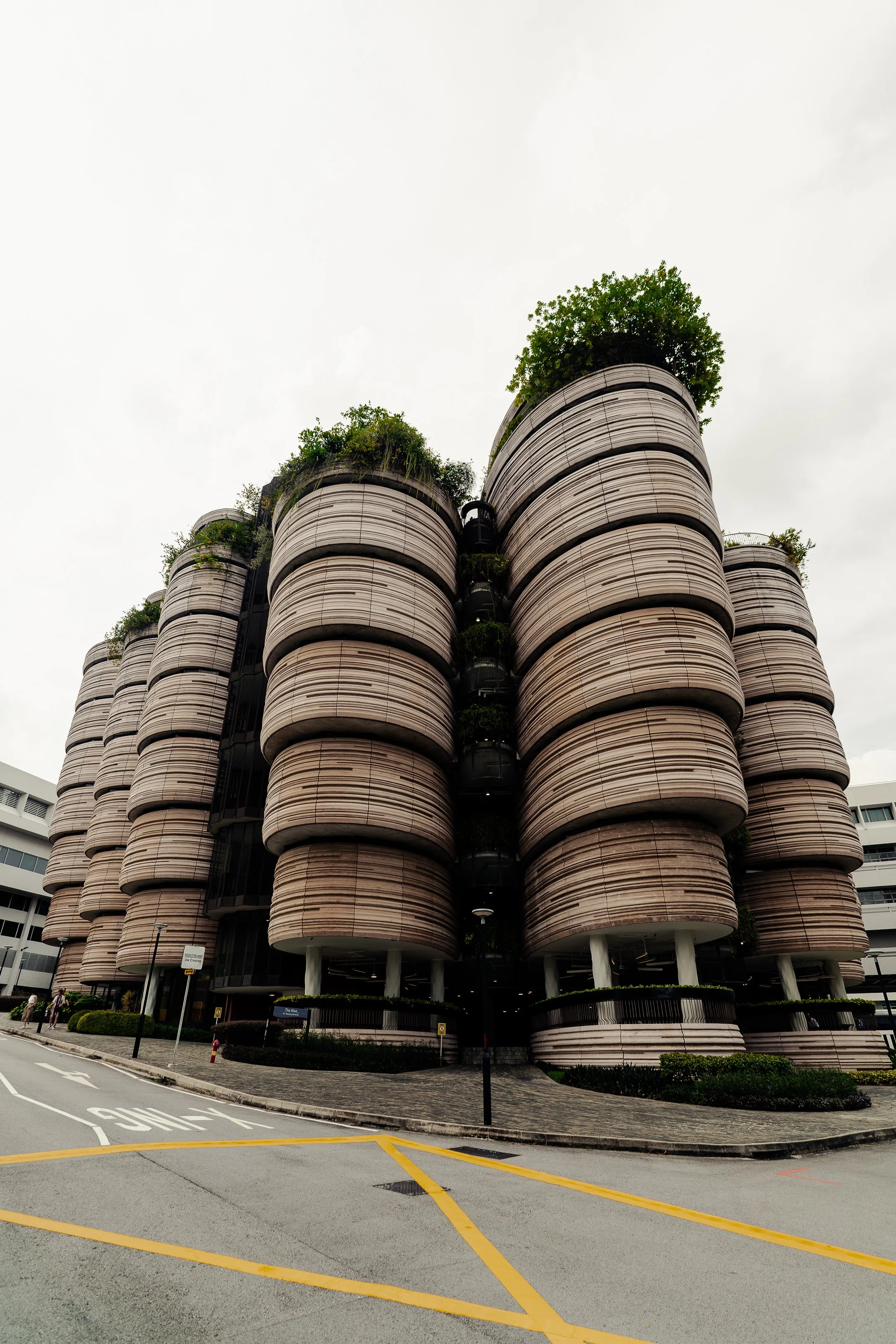 The Hive Building.