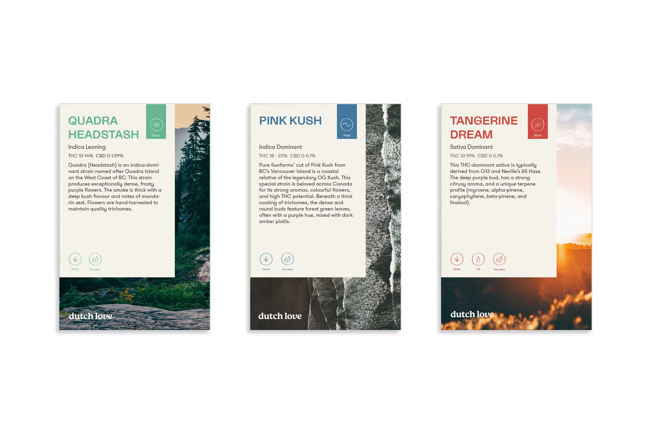 Displaycards-DL.jpg
