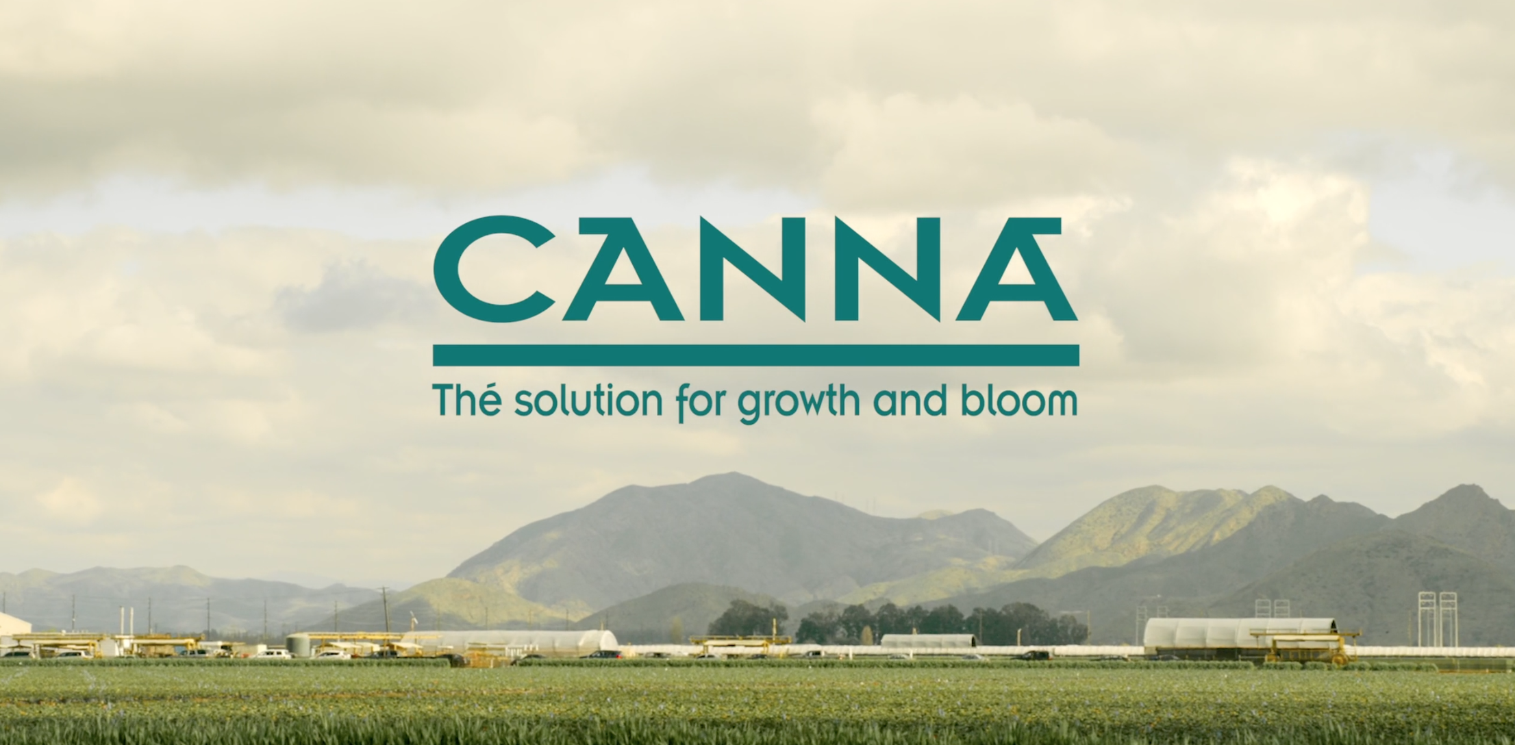 Canna