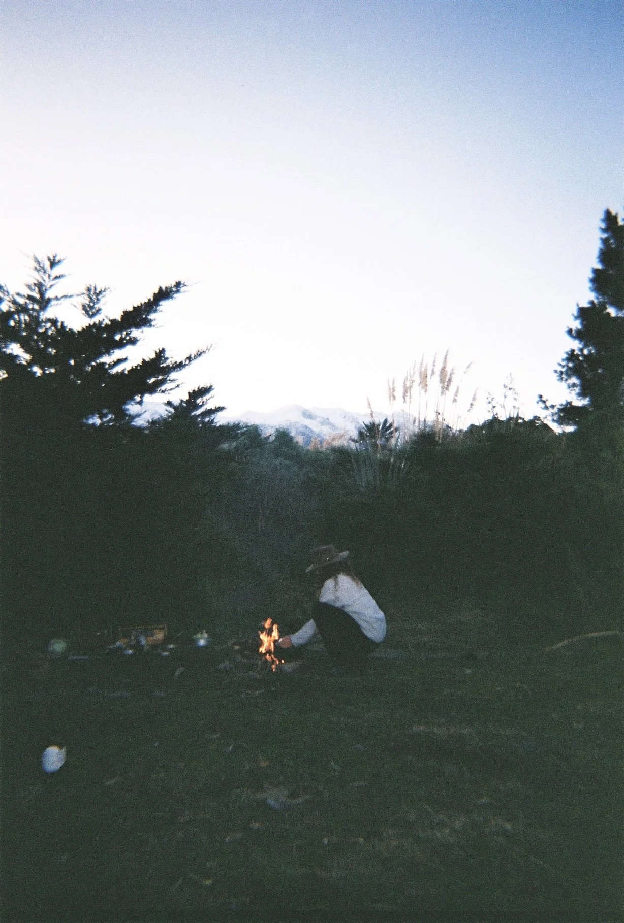 Dense winter medicine