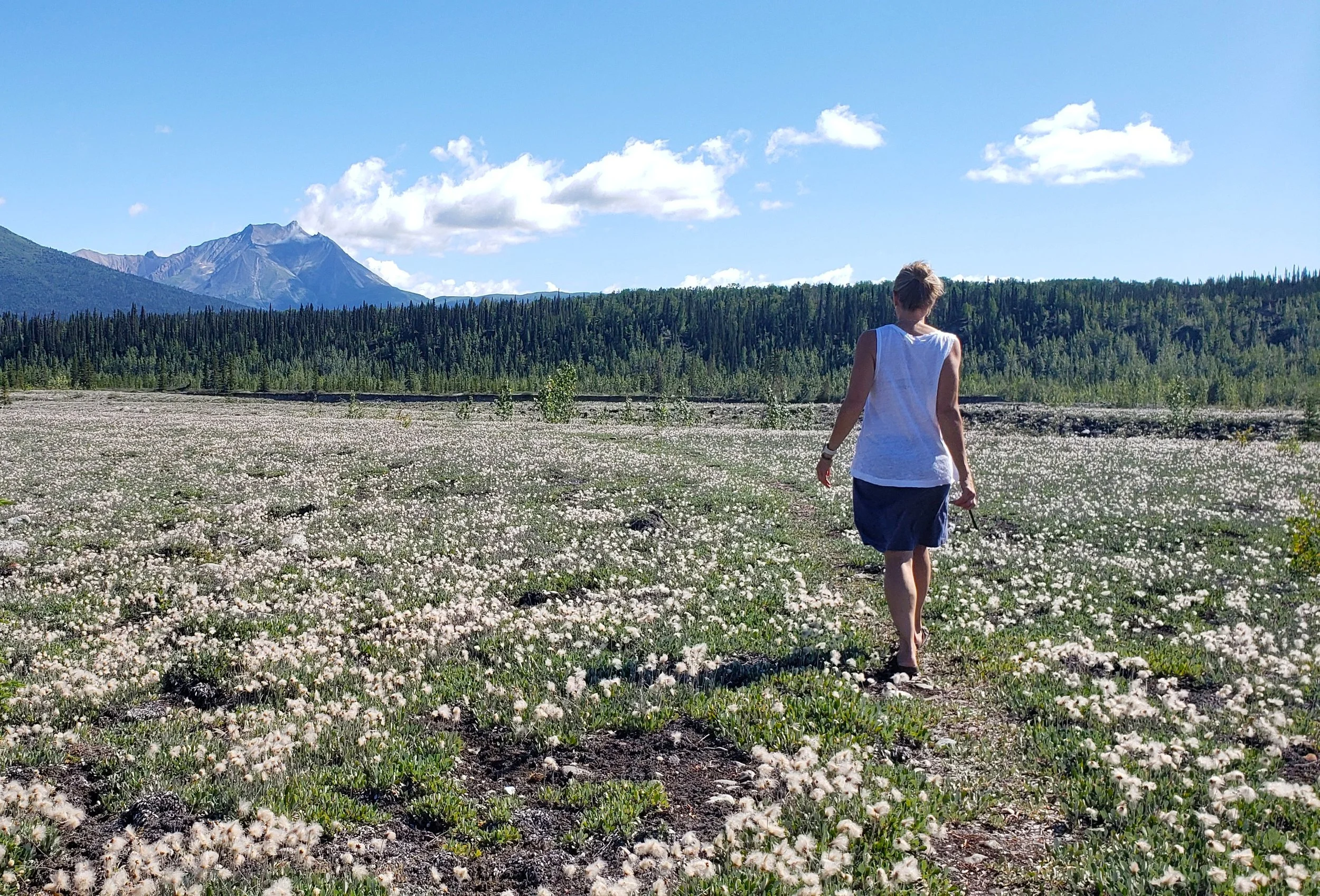 A guest walking through the dryas fields on Camp McCarthy's private nature trail.