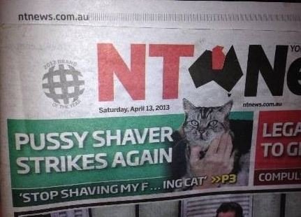 ntnews.JPG