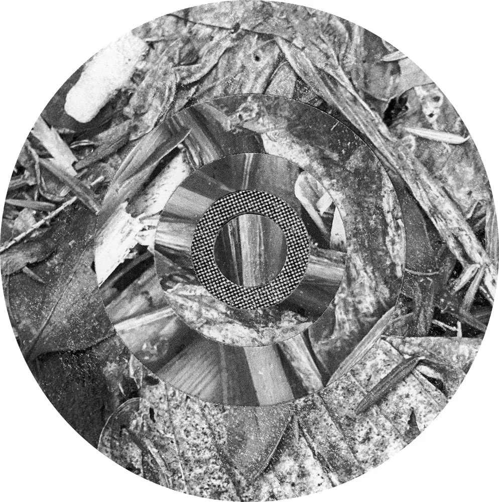 2025_MIDNIGHTUMBRELLA_Collage_Compost_Crop&Trim.jpg