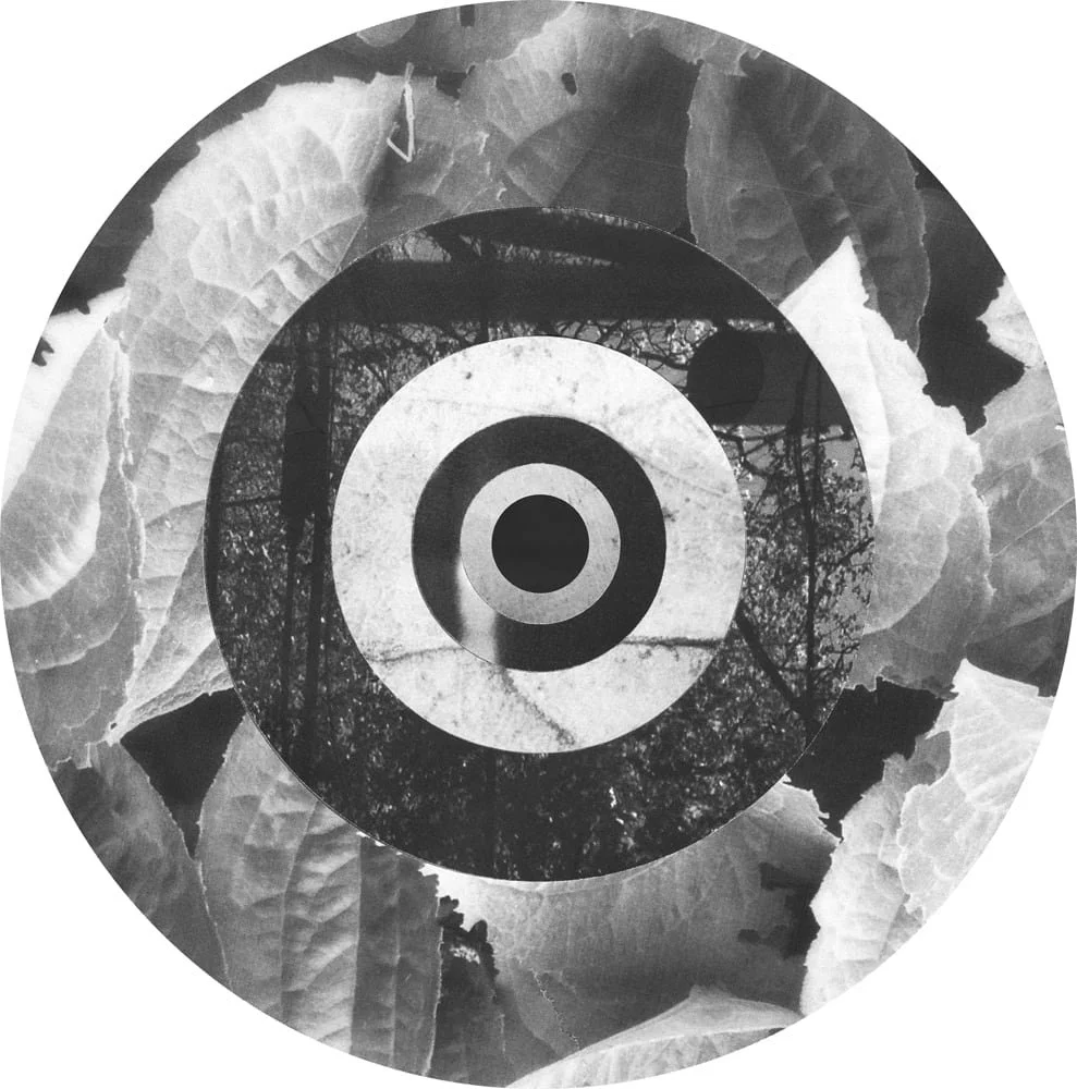 2025_MIDNIGHTUMBRELLA_Collage_Circle_Collages_LeafRing_Crop&Trim.jpg