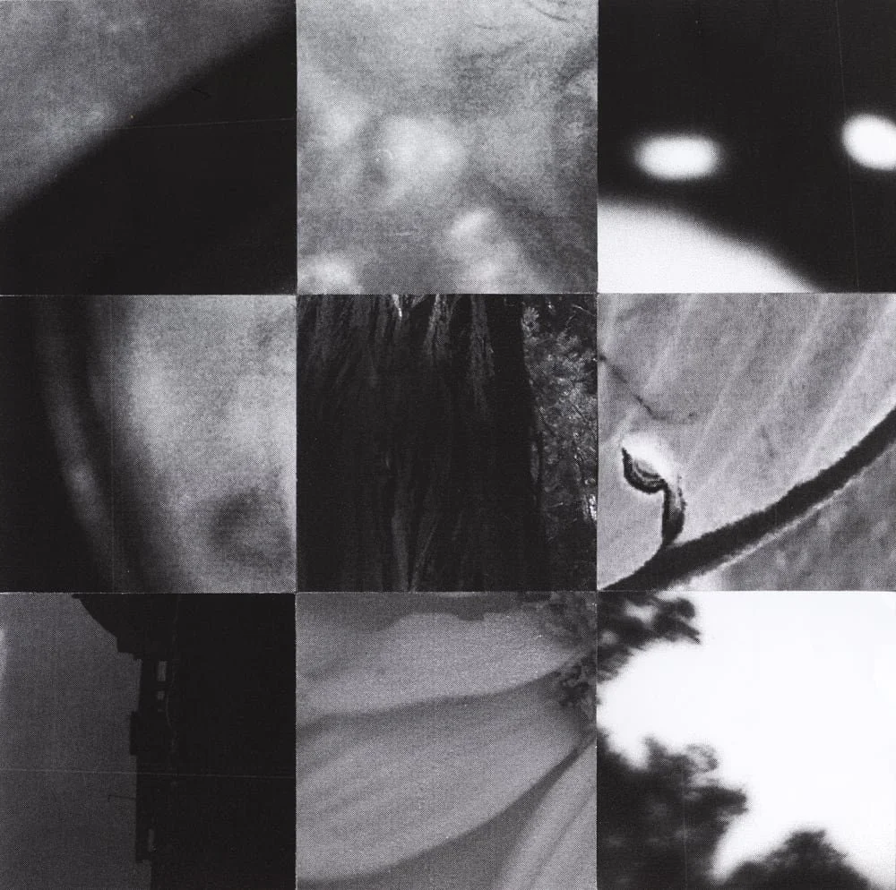 2025_MIDNIGHTUMBRELLA_Collage_Square_Collages_Zoetrope_Crop&Trim.jpg