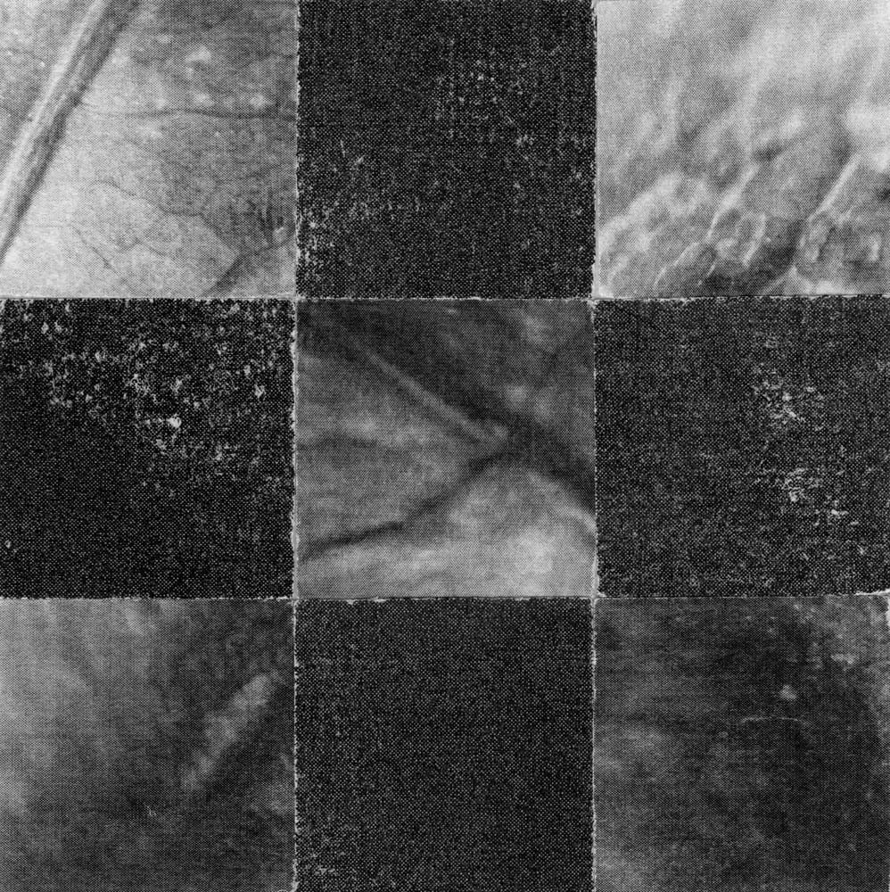 2025_MIDNIGHTUMBRELLA_Collage_Cellulose_Crop&Trim.jpg