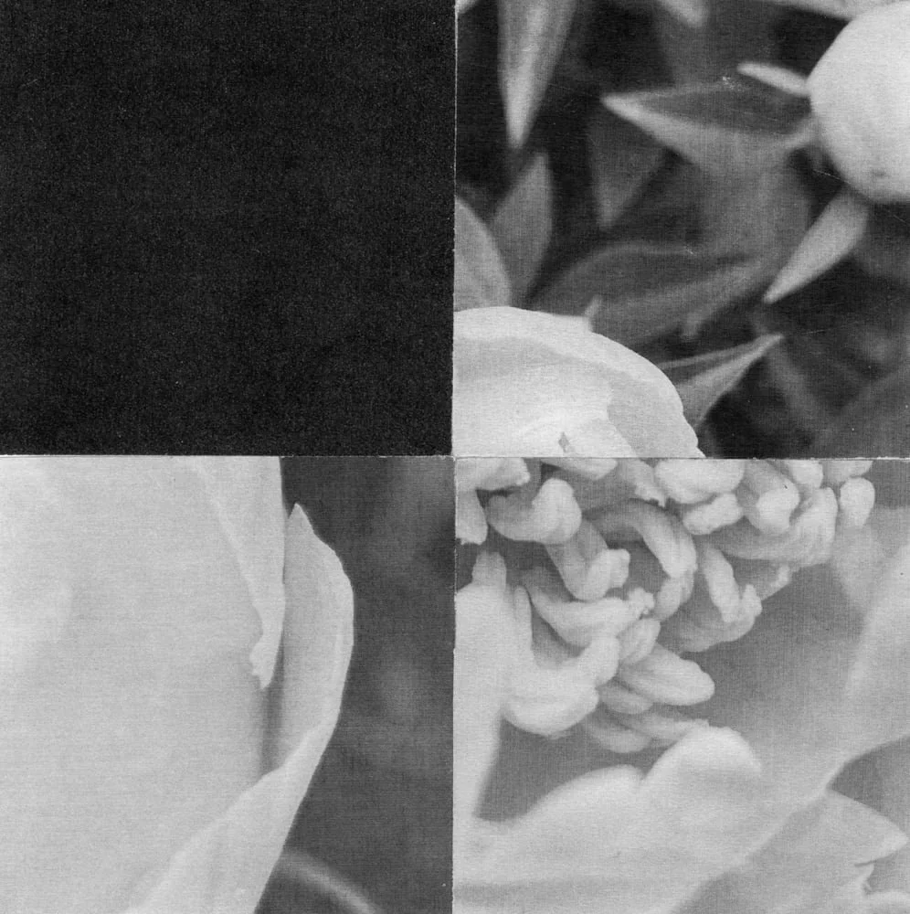 2025_MIDNIGHTUMBRELLA_Collage_SummerPeonies_1_Kate&Daddy_Crop&Trim.jpg