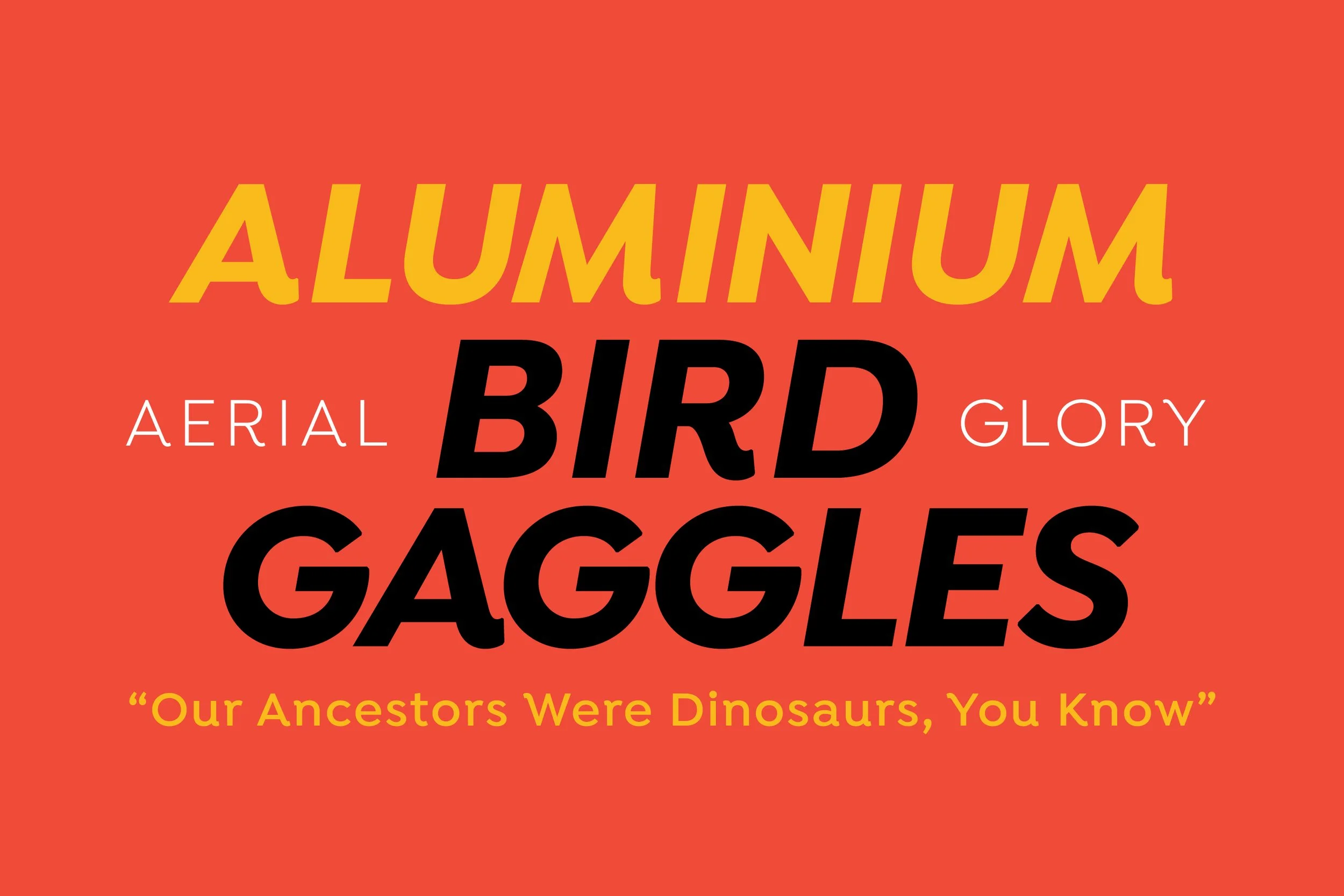 Title 'Aluminum Bird Gaggles' with subtitles 'Aerial Glory' and a caption 'Our Ancestors Were Dinosaurs, You Know' on an orange background.