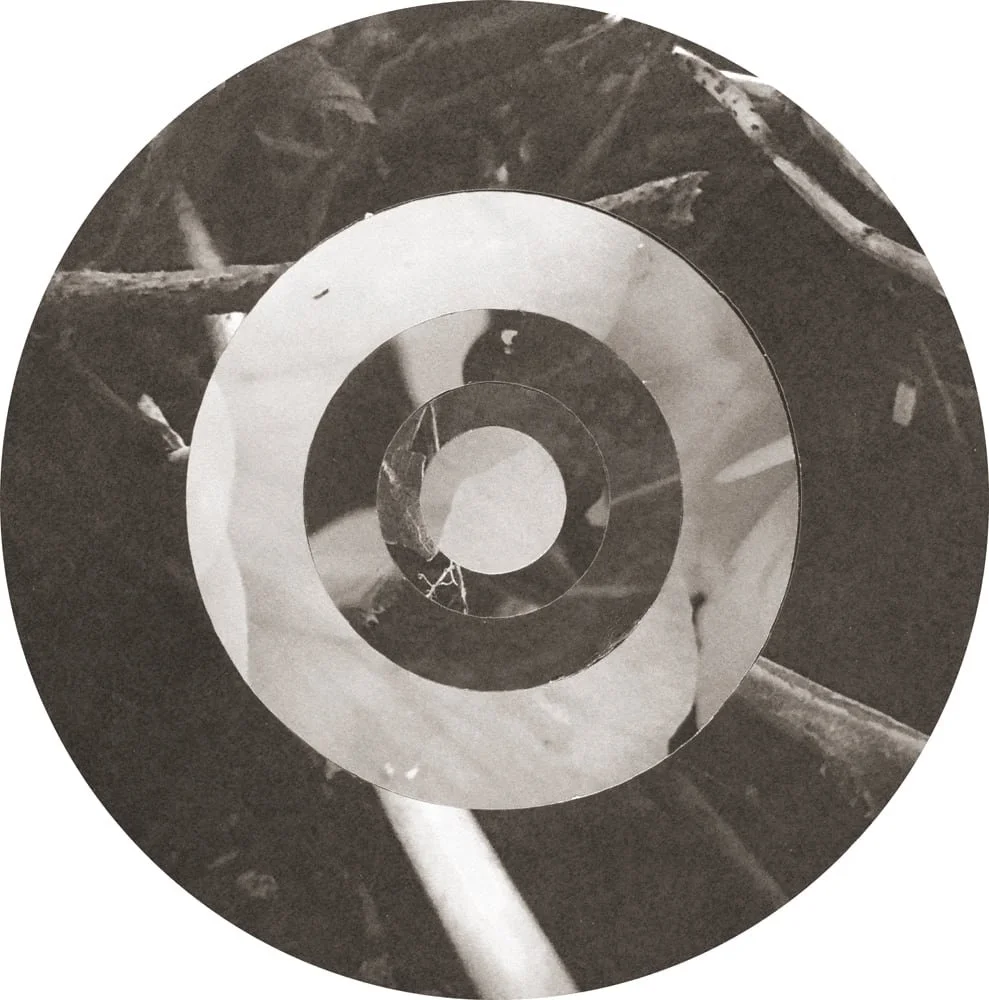 2025_MIDNIGHTUMBRELLA_Collage_HarvestDebris_Crop&Trim.jpg