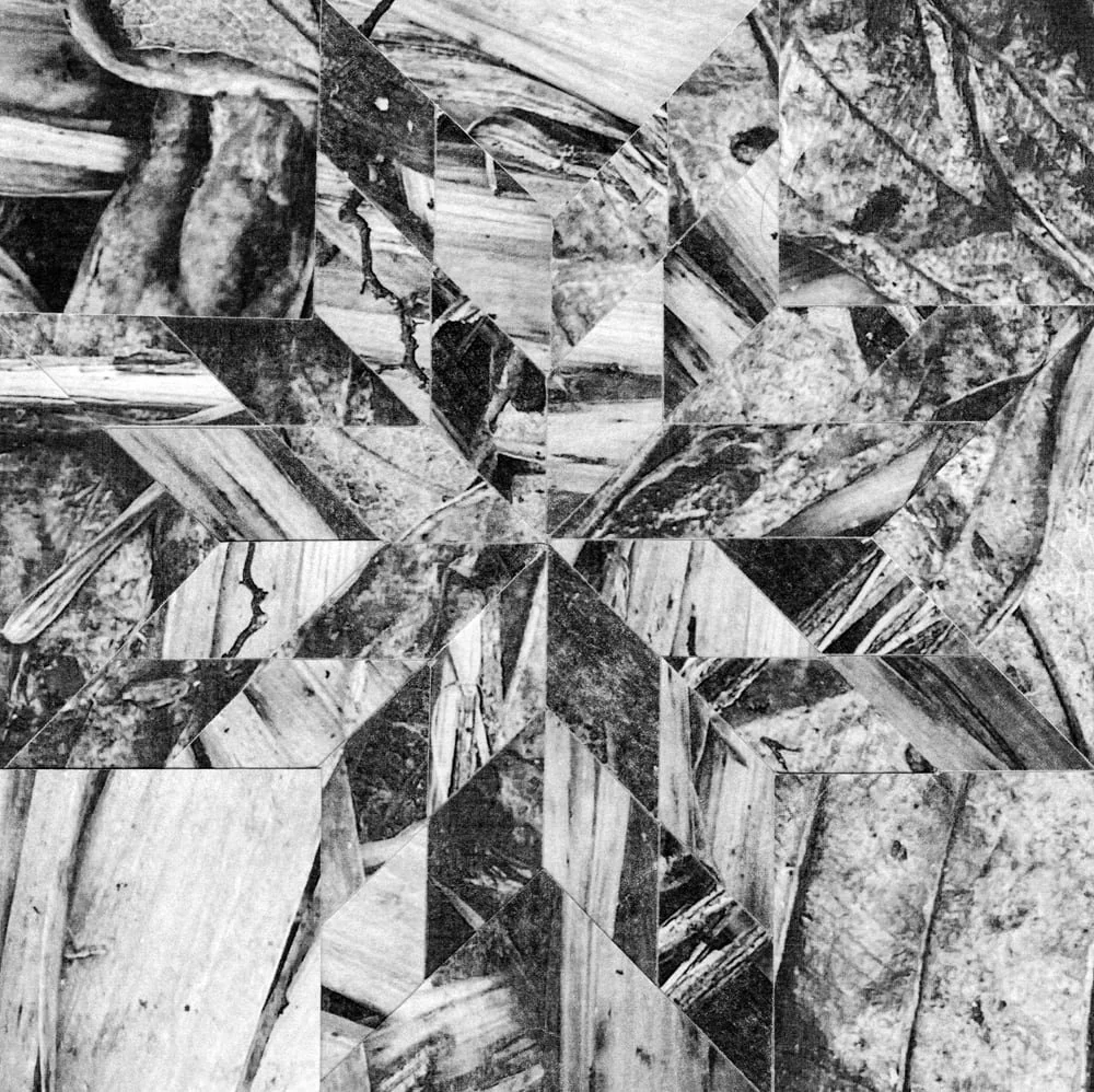 2025_MIDNIGHTUMBRELLA_Collage_Parquetry_Crop&Trim.jpg