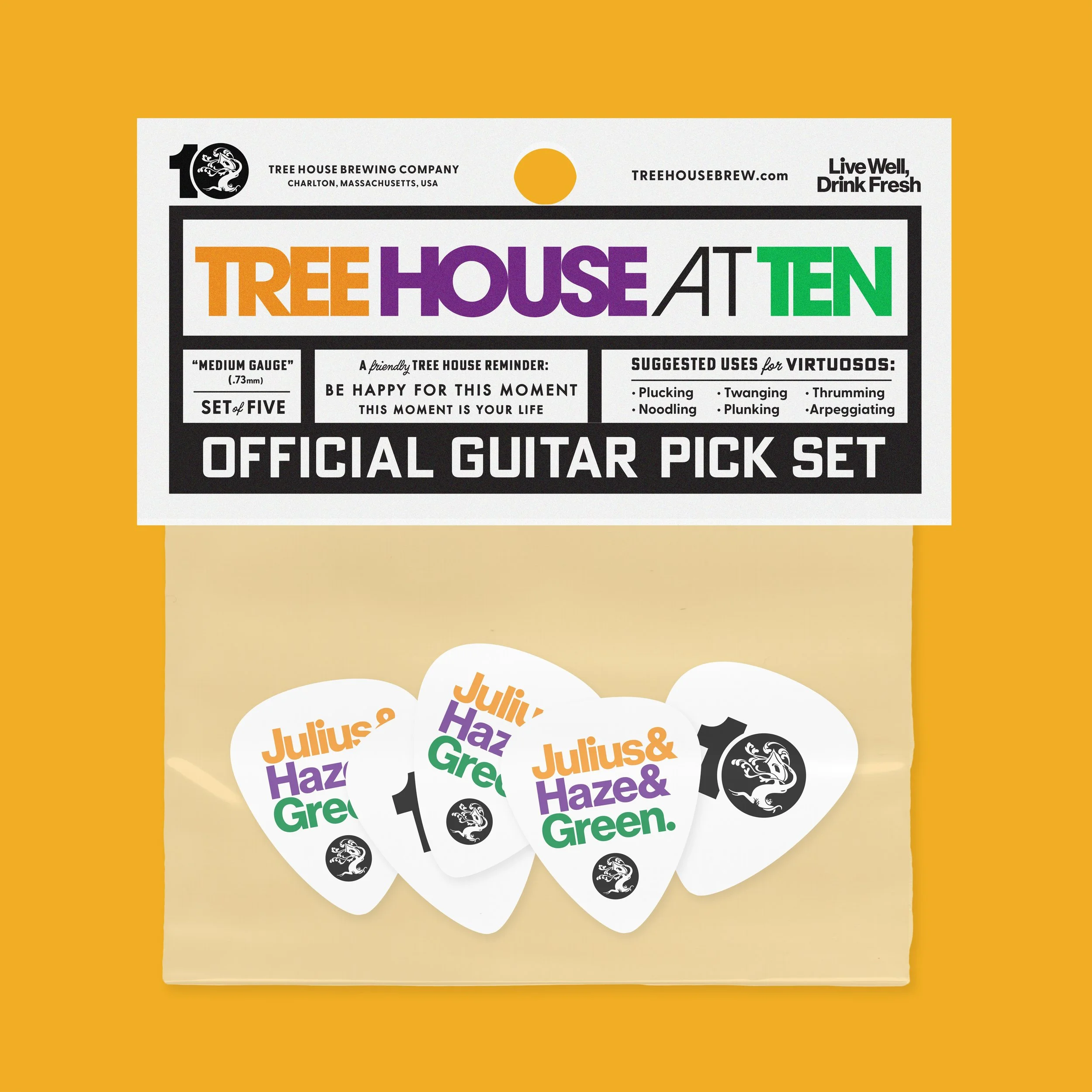 Guitar_Pick_Mockup_Detail.jpg